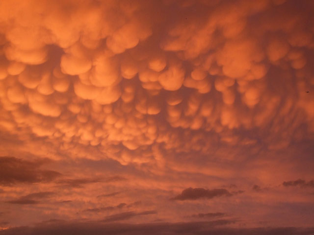 Mammatus Clouds Forever : More Photos Of The Bumpy Clouds - Gothamist