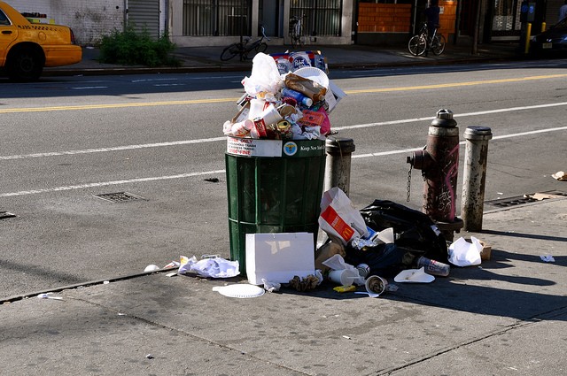 Trash can clearance for cat poop