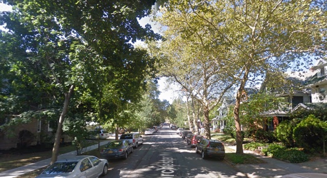 Extra Extra: NYC Parks Dept. goes hard on tree planting