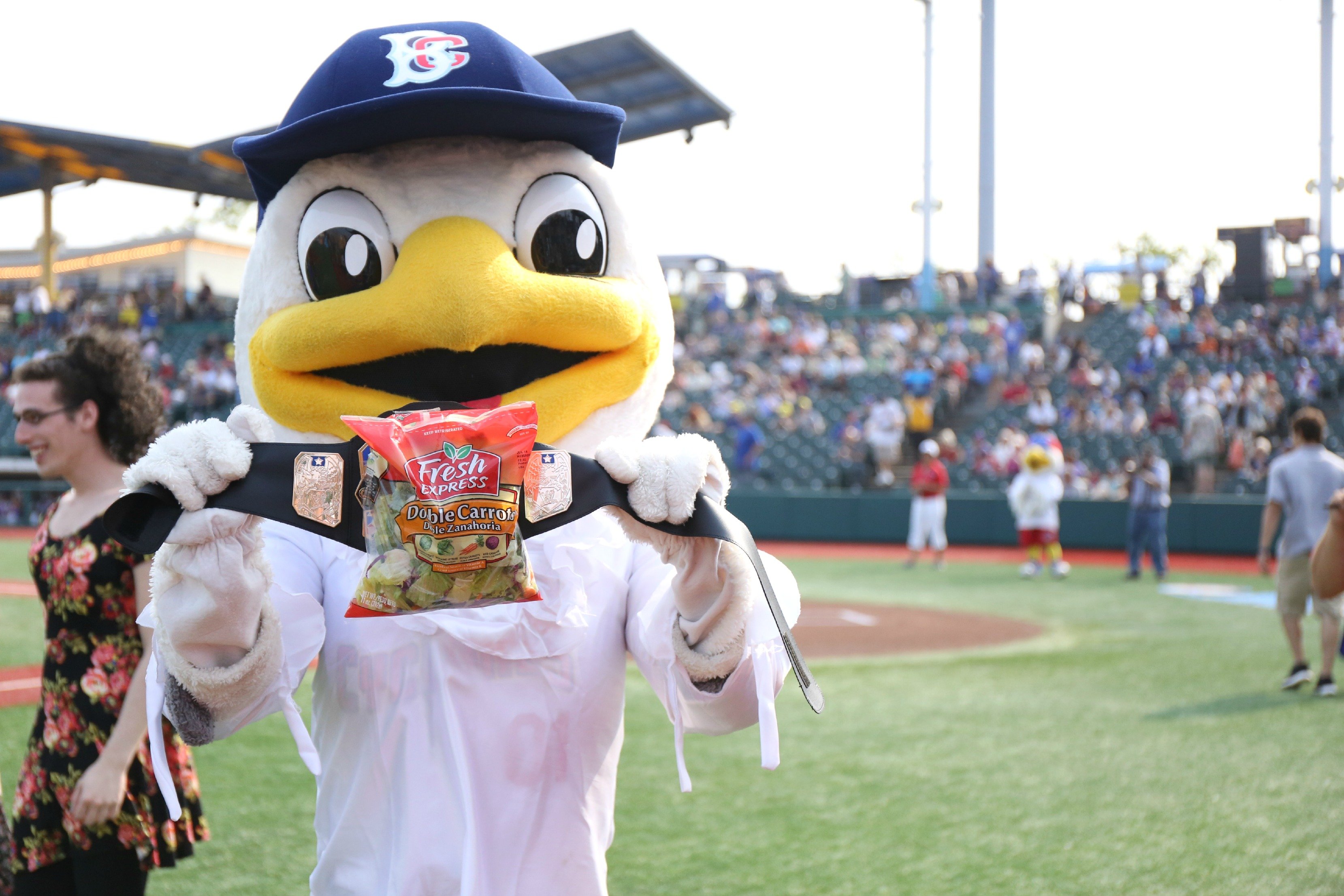 Sandy the seagull, the Brooklyn Cyclones mascot photographed in