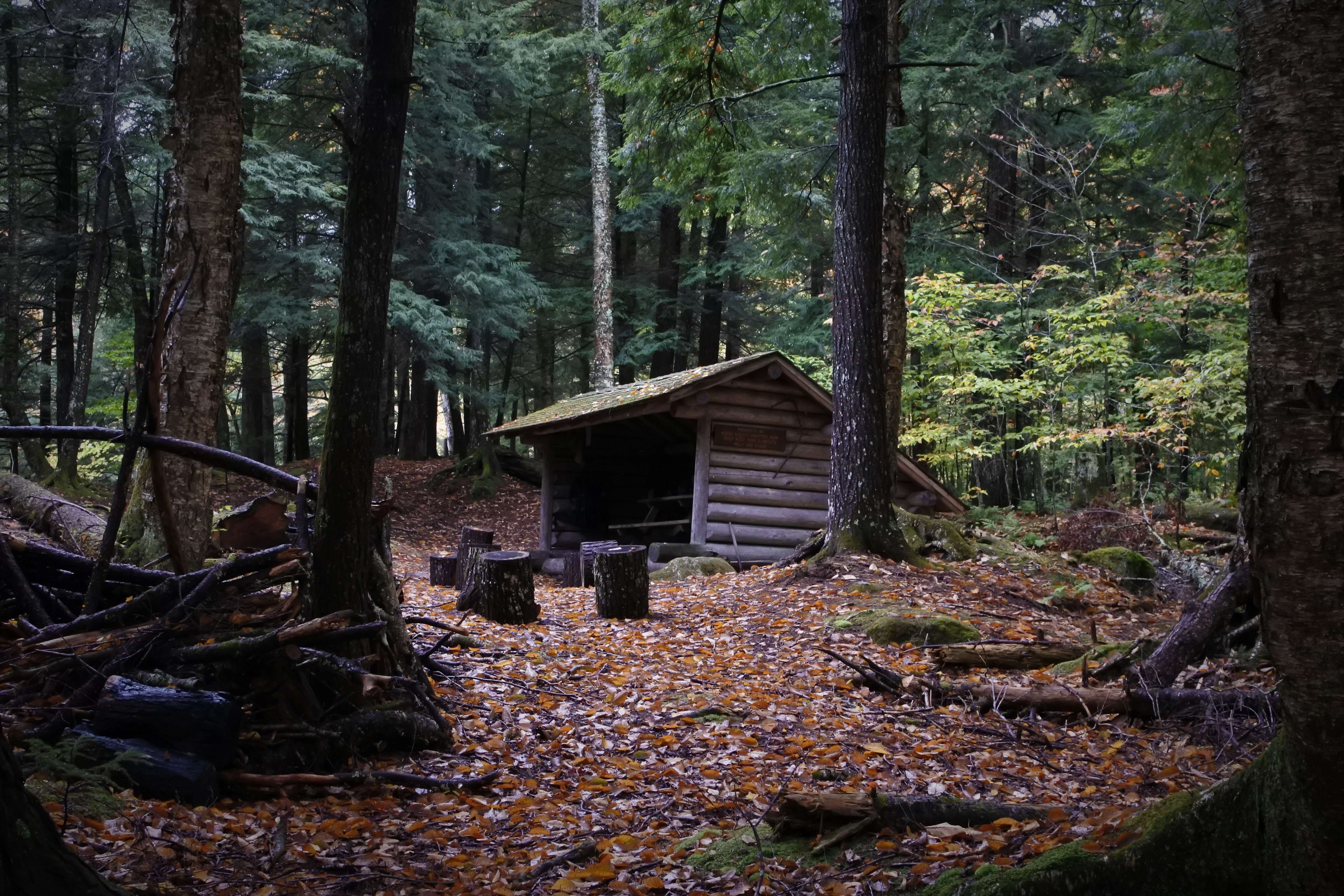 Where (and How) to Find Primitive Catskills Camping