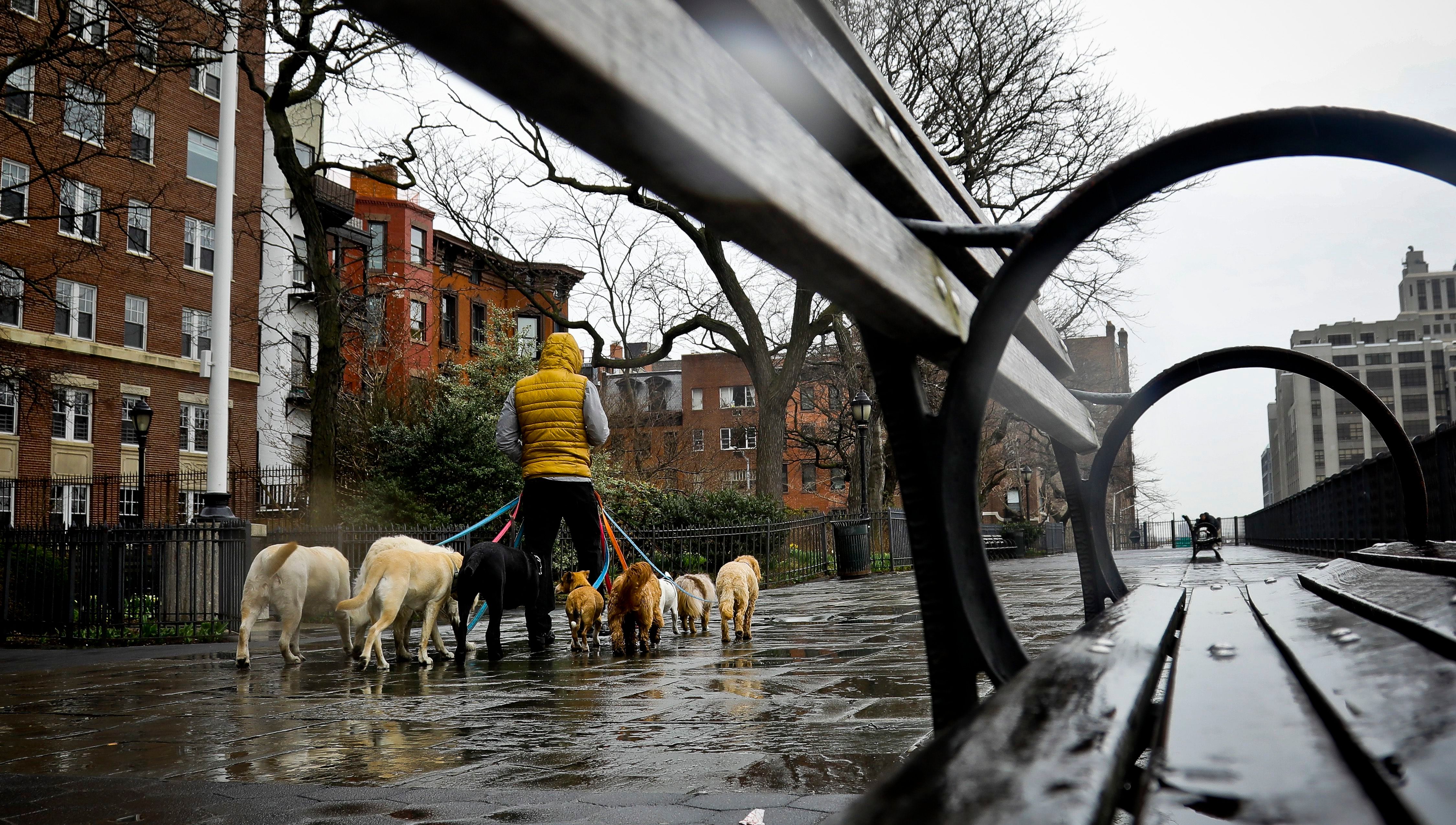 Video: Suspected Drunk Driver Zooms Through Brooklyn Heights Promenade