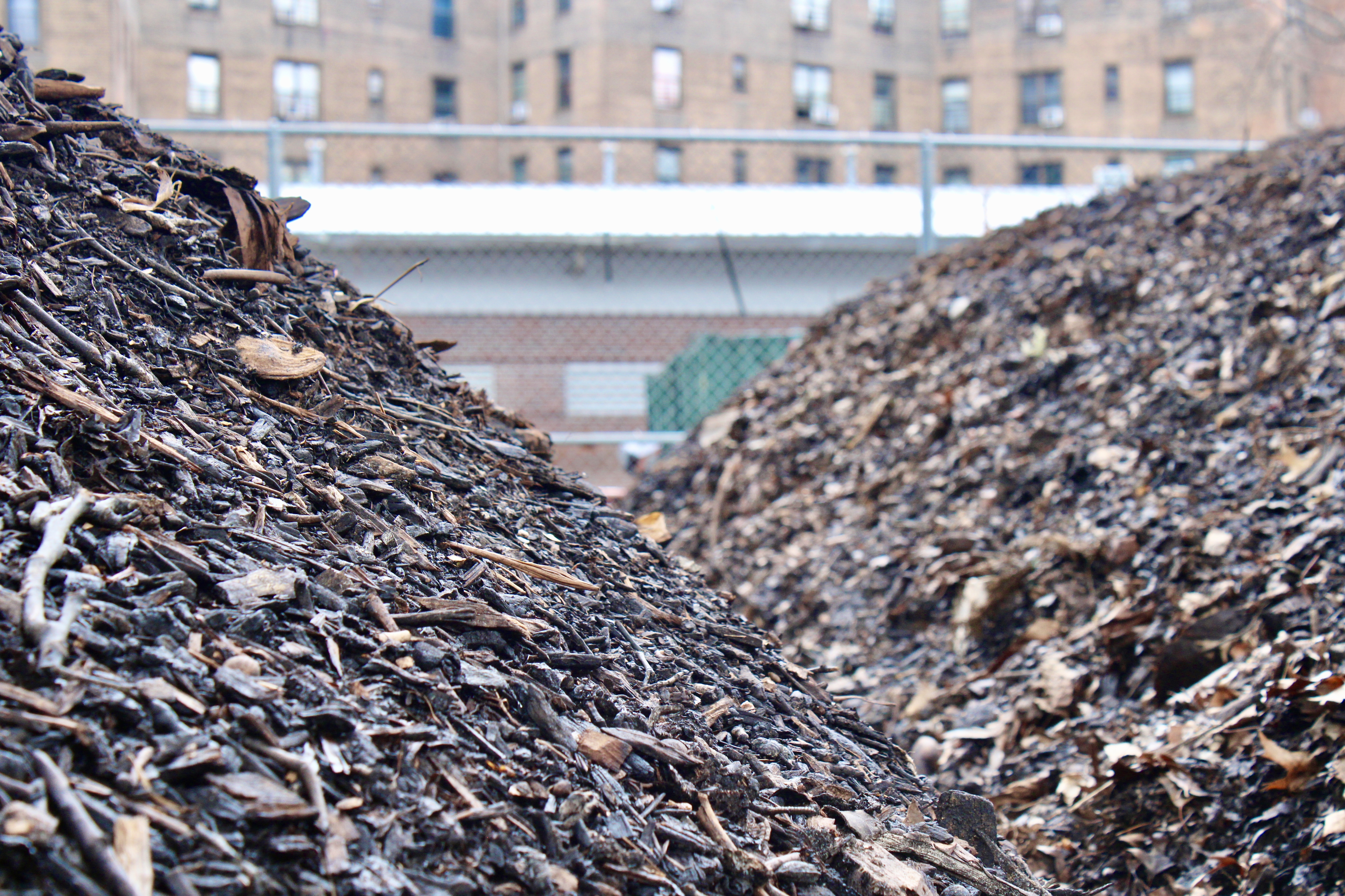 Mandatory composting coming soon to NYC