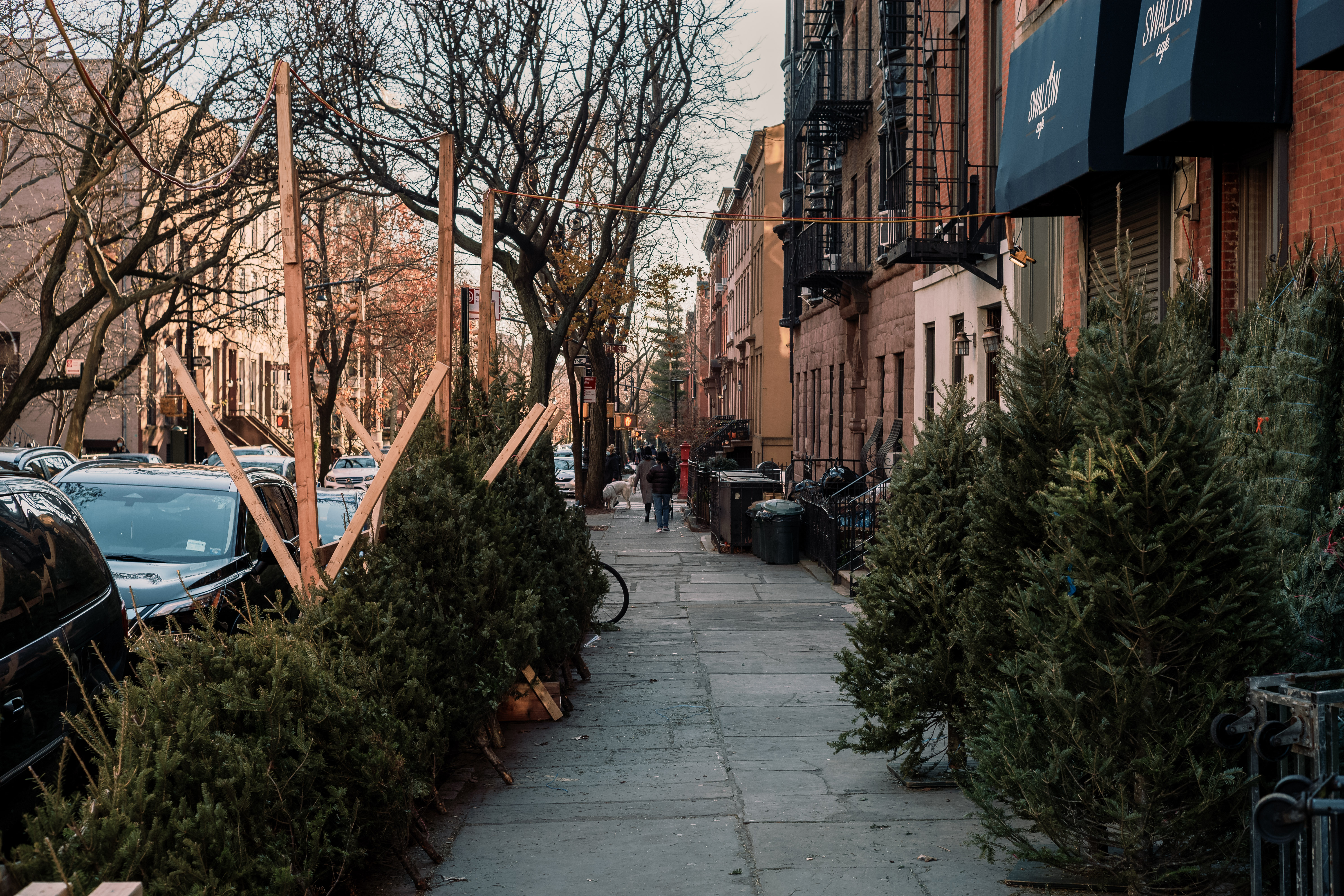 Nyc Christmas Tree Vendors Pleasantly Surprised By So Many Early Sales Gothamist