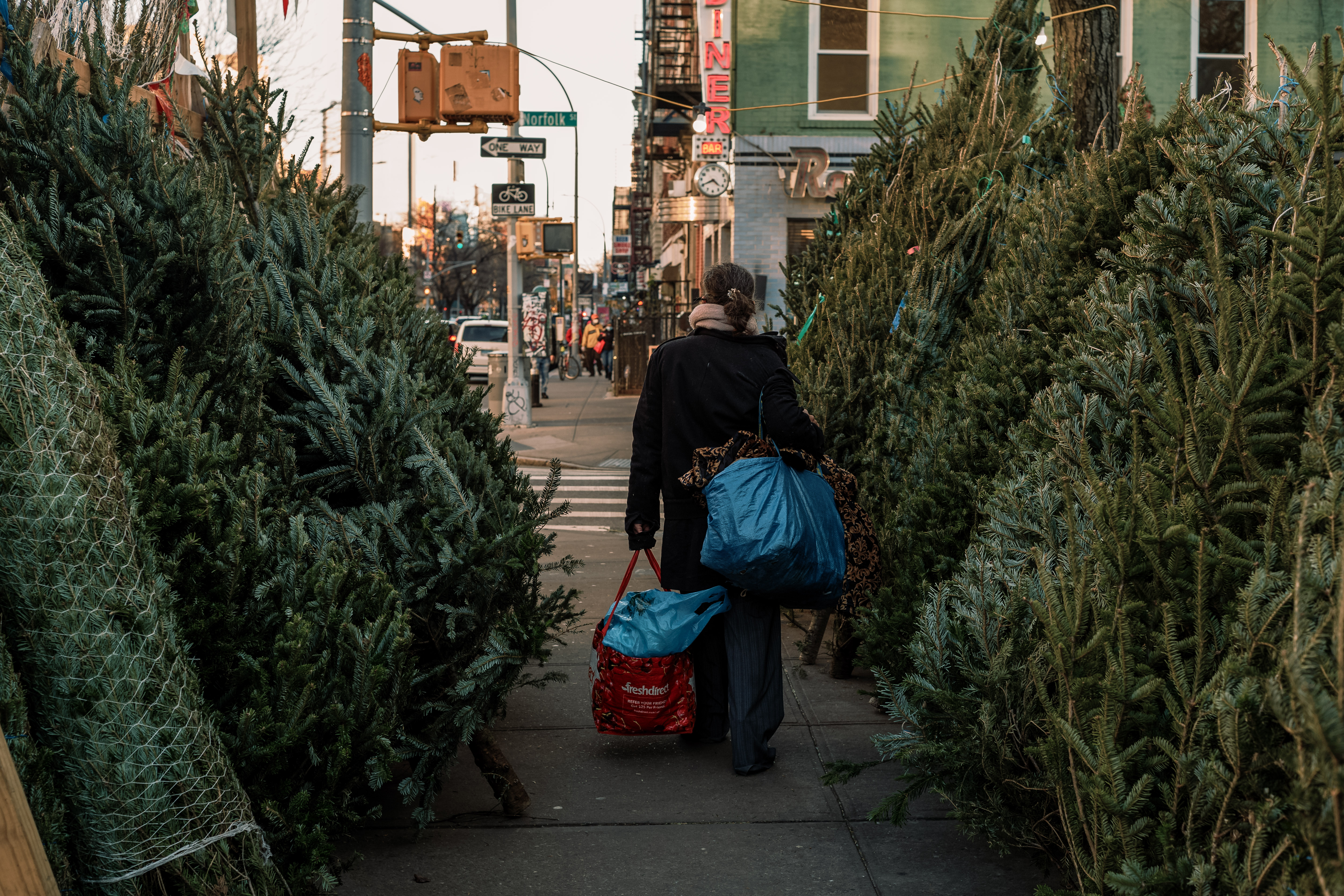 Nyc Christmas Tree Vendors Pleasantly Surprised By So Many Early Sales Gothamist