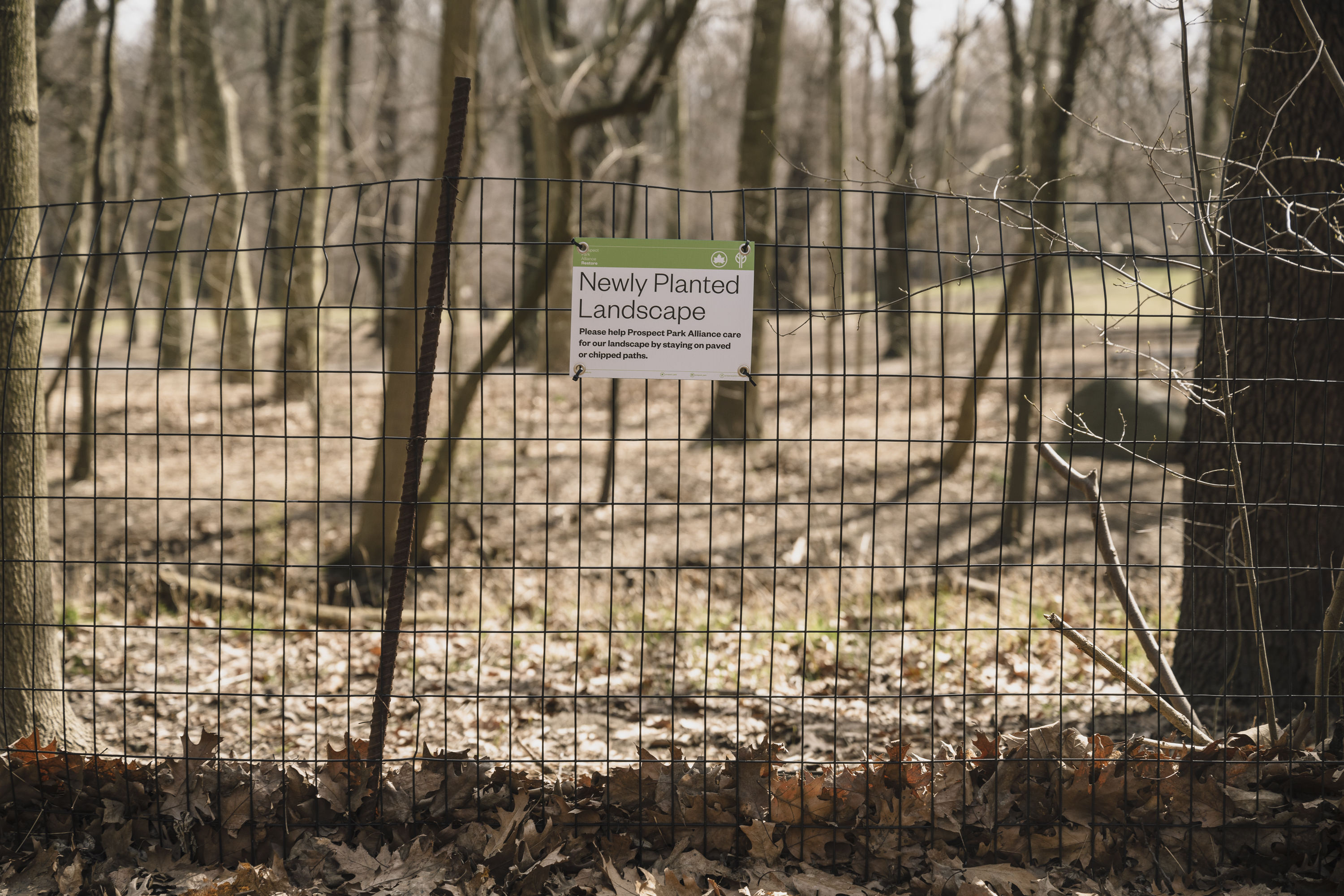 Keep on the grass: Makeshift paths are harming NYC parks