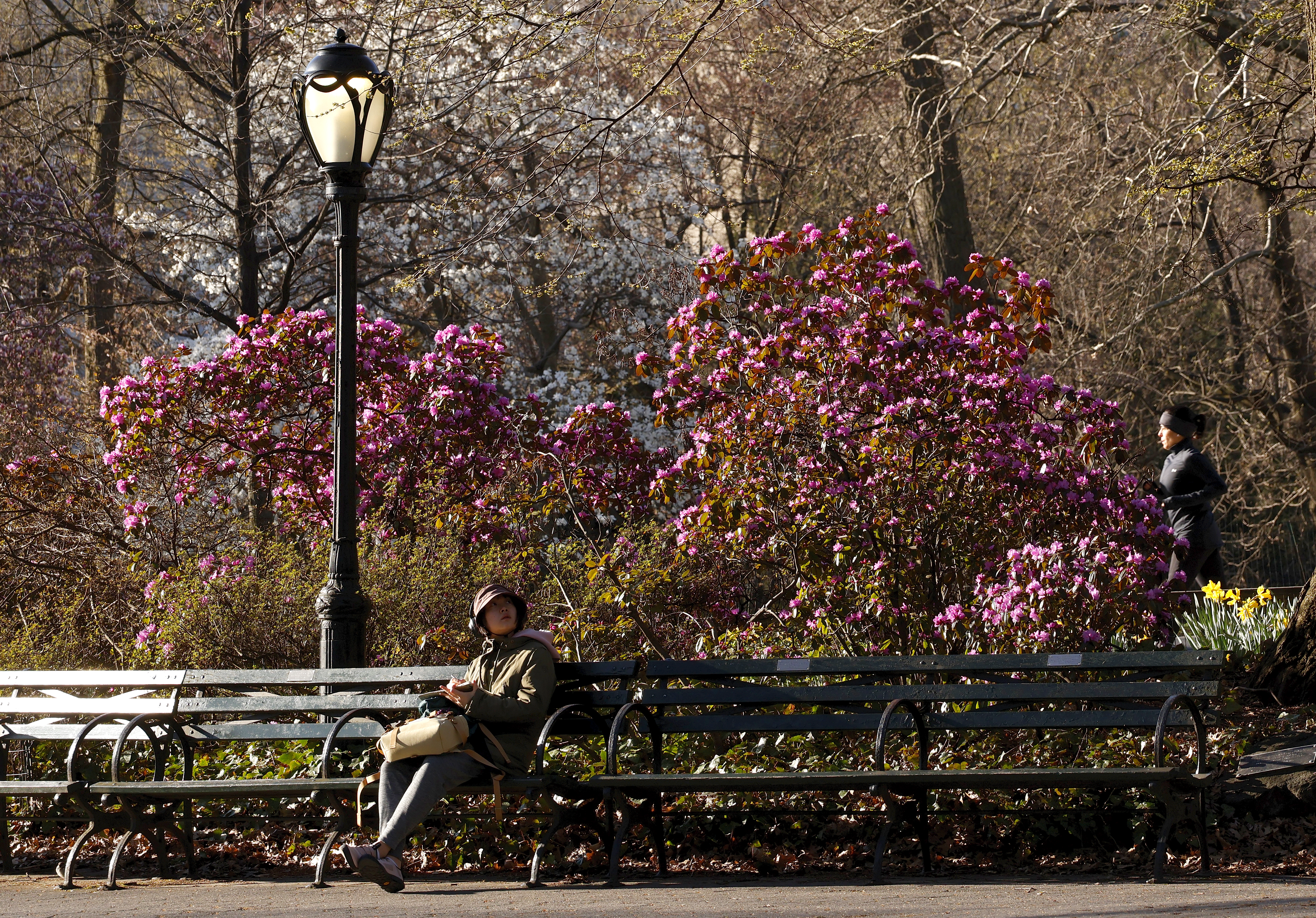 NYC allergy sufferers, brace for pollen impact