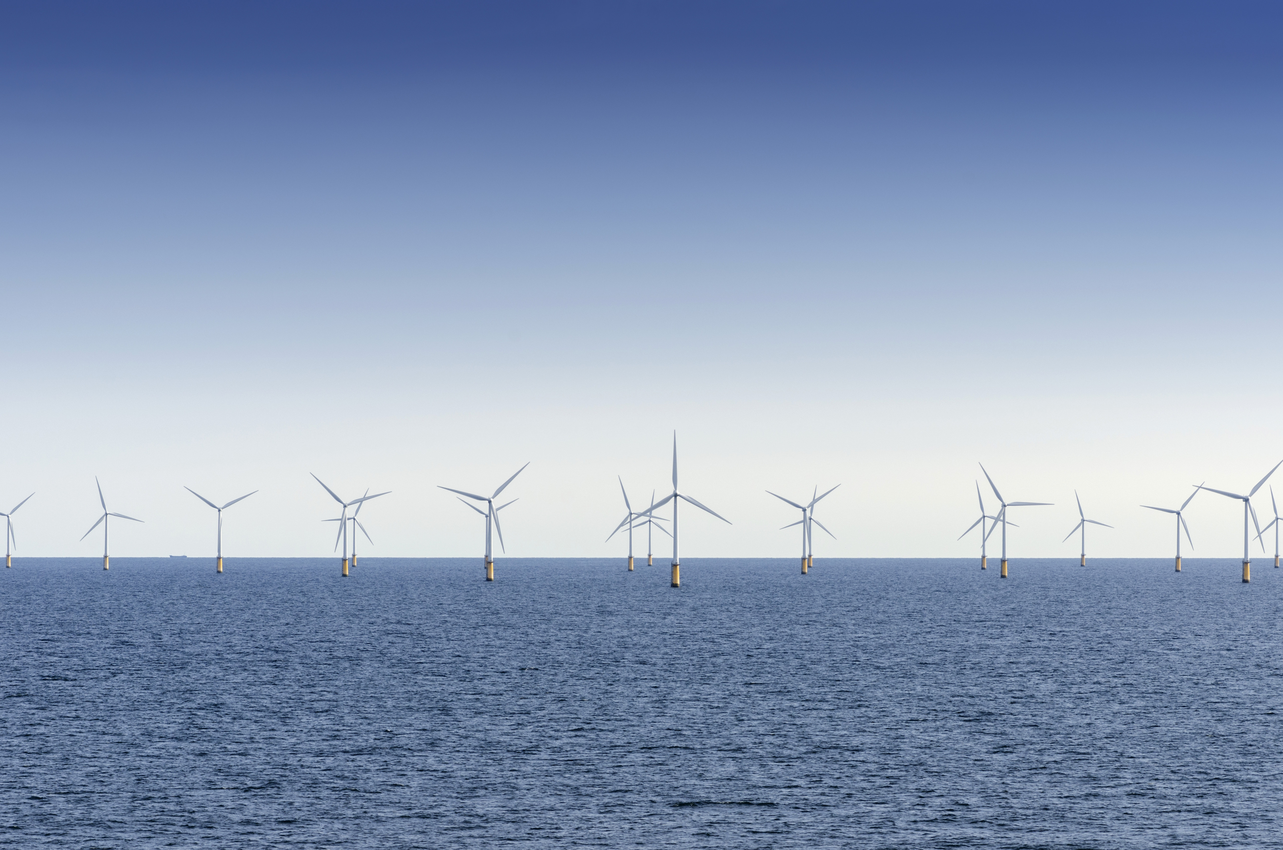 Offshore Wind Auction Could Yield Power For 2 Million Homes And New Industries for NY and NJ