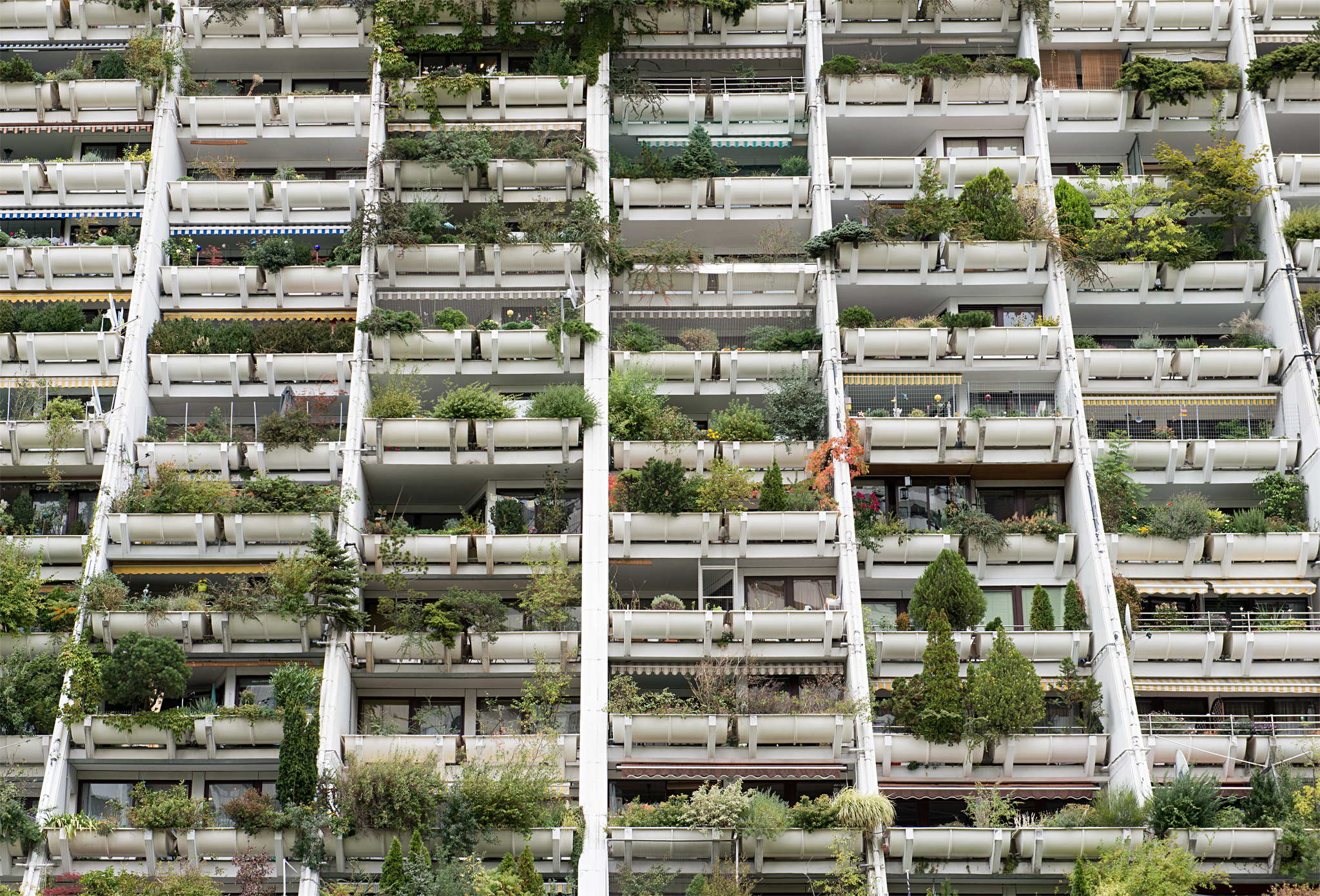 The Big Idea: Mayoral Candidate Dianne Morales Wants To Bring Social Housing To NYC The Big Idea: Mayoral Candidate Dianne Morales Wants To Bring Social Housing To NYC