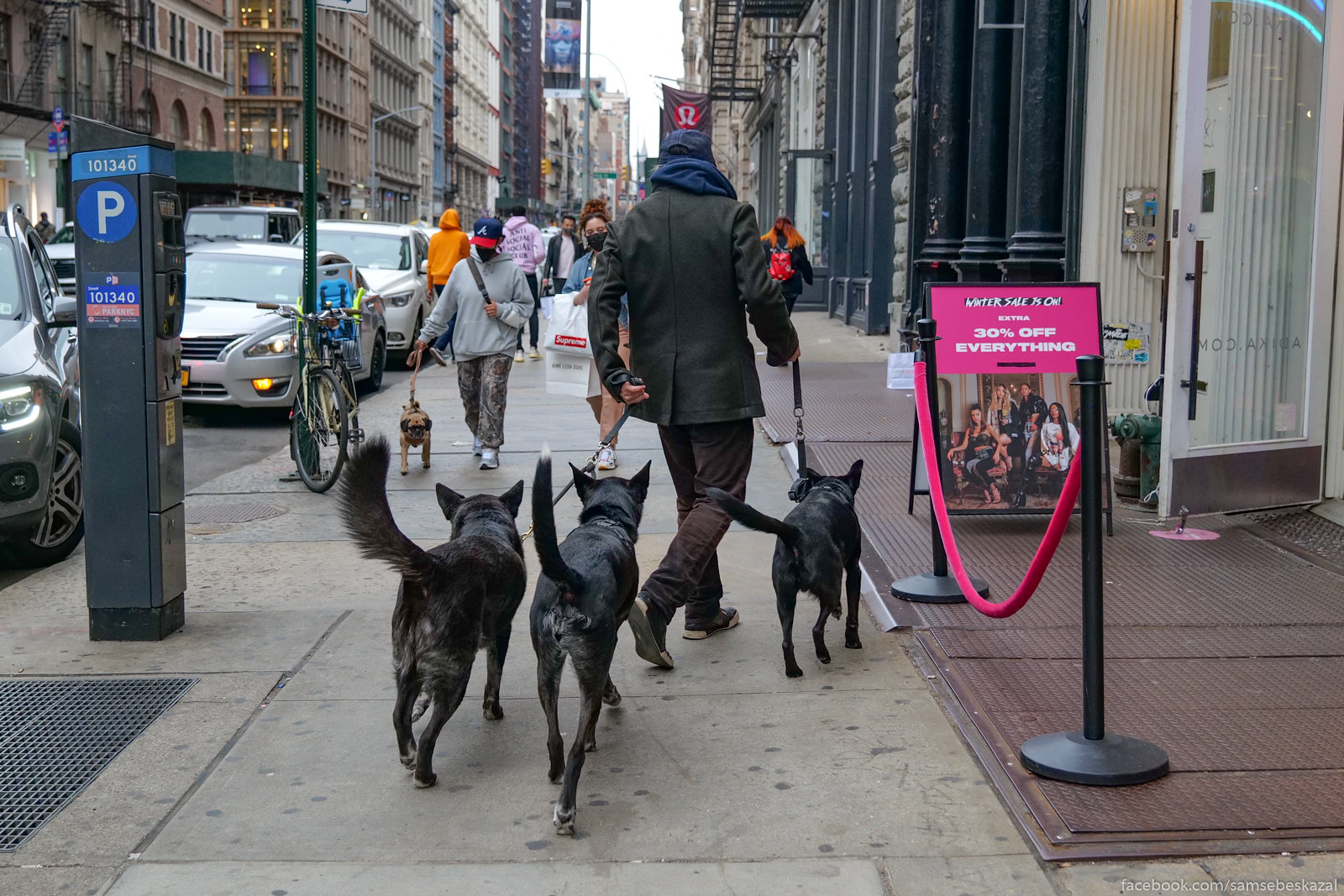 A photo of three dogs being walked in Manhattan