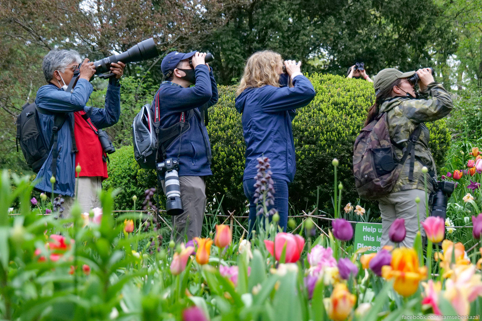 A photo of people birdwatching in Central Park