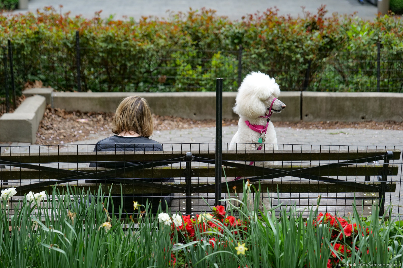 A photo of a person and dog on a bench on the UWS