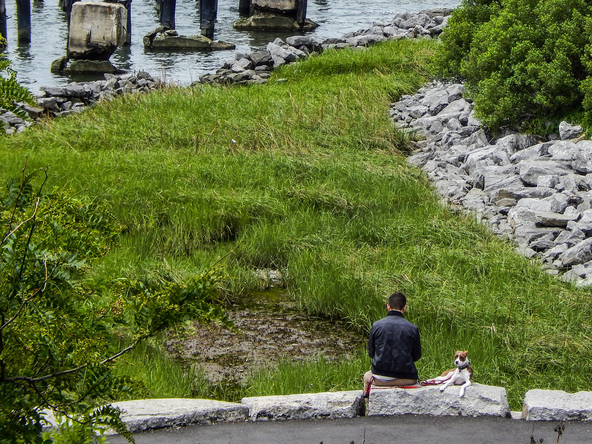 A photo of a man and a dog sitting near the Hudson River
