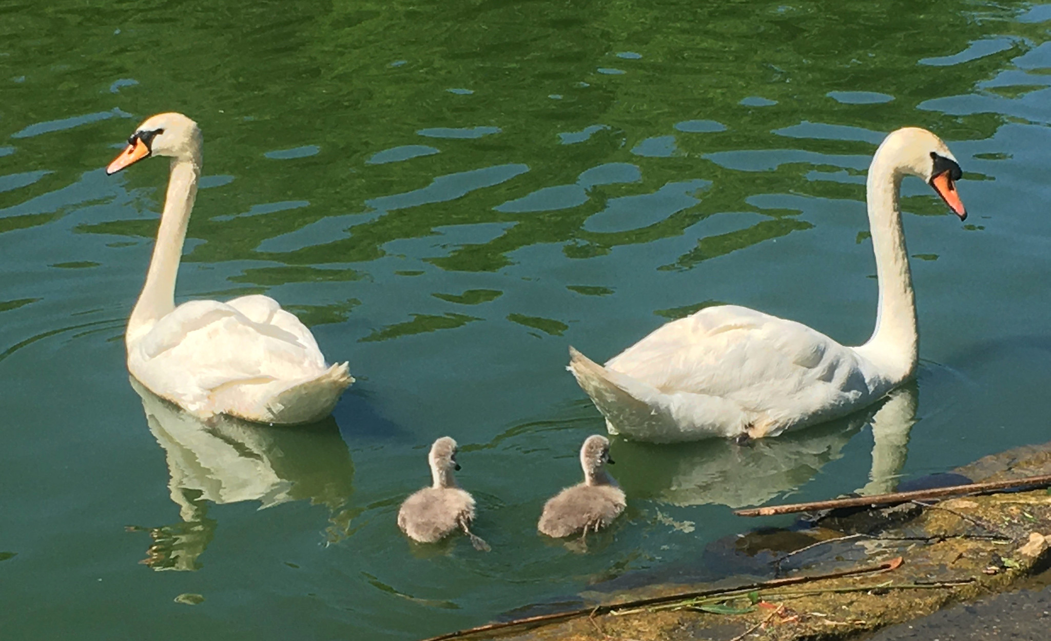 Early Addition: Another Hellmouth Sinkhole Has Emerged