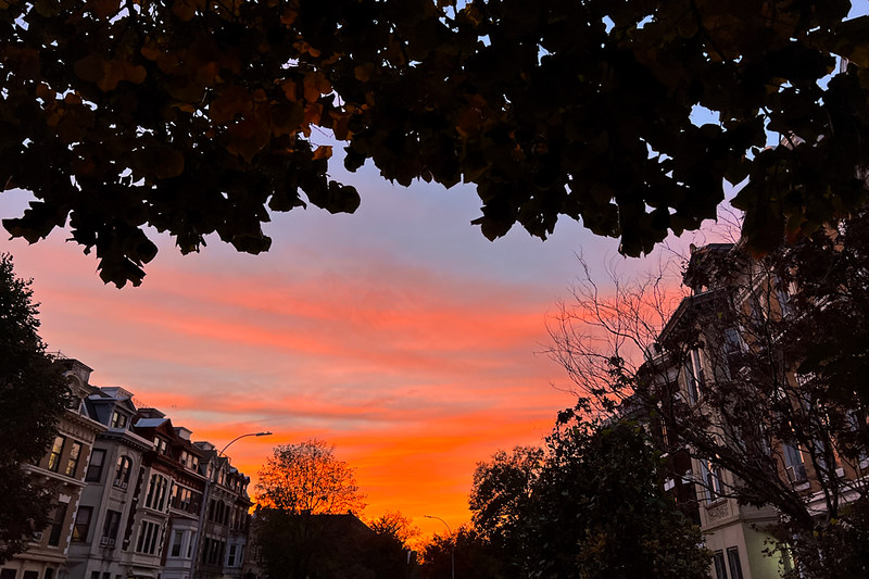 Extra Extra: Welcome To The University Of Extra Extra, Where The Links Are The Professors