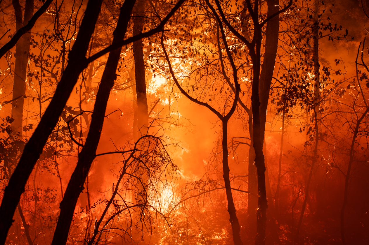 Jersey Shore fire under control, as another breaks out further inland