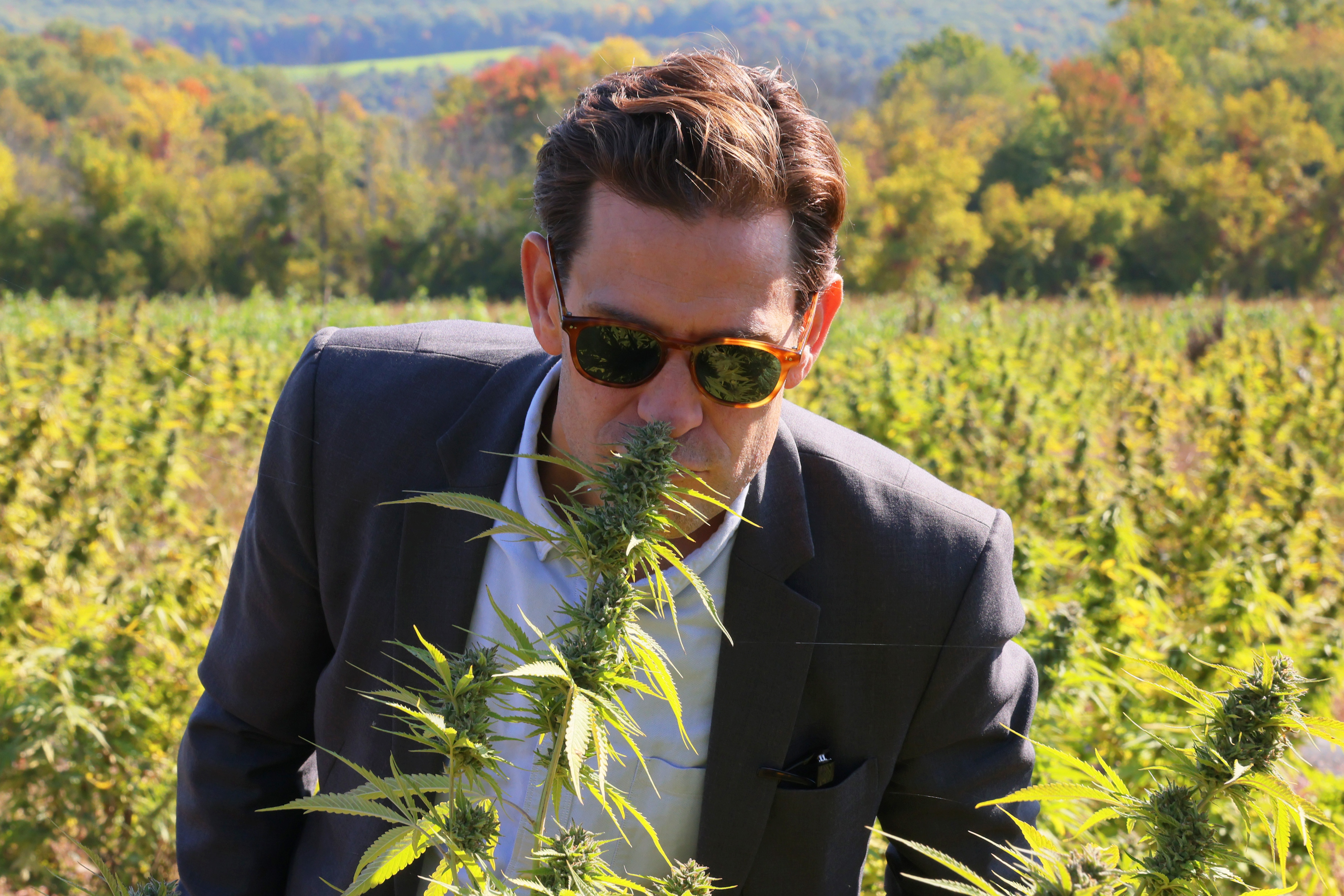 Top NY cannabis official exits at pivotal moment for legal rollout