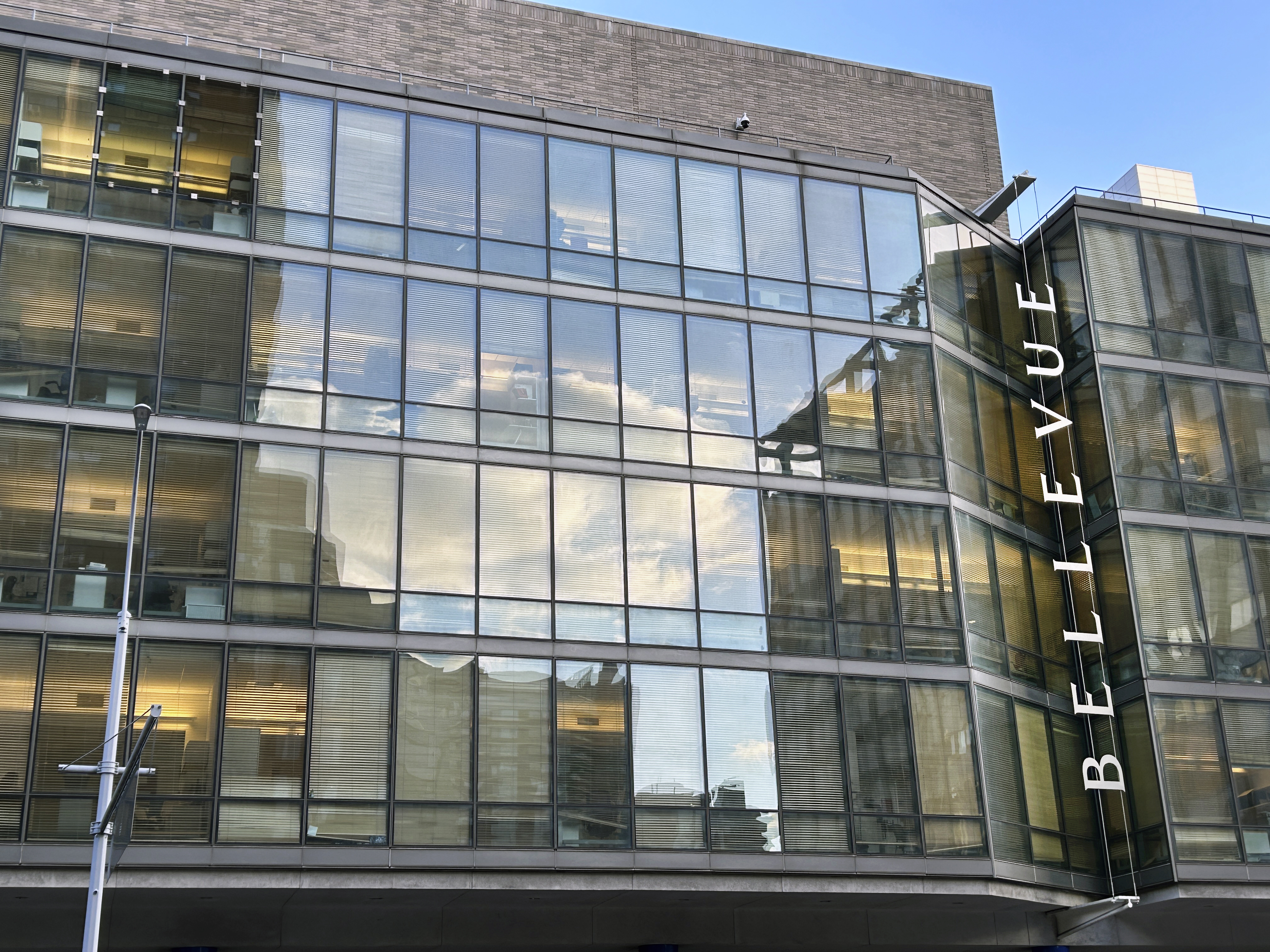 NYPD: Stabbing victim flees Bellevue after police bust him for traffic violation