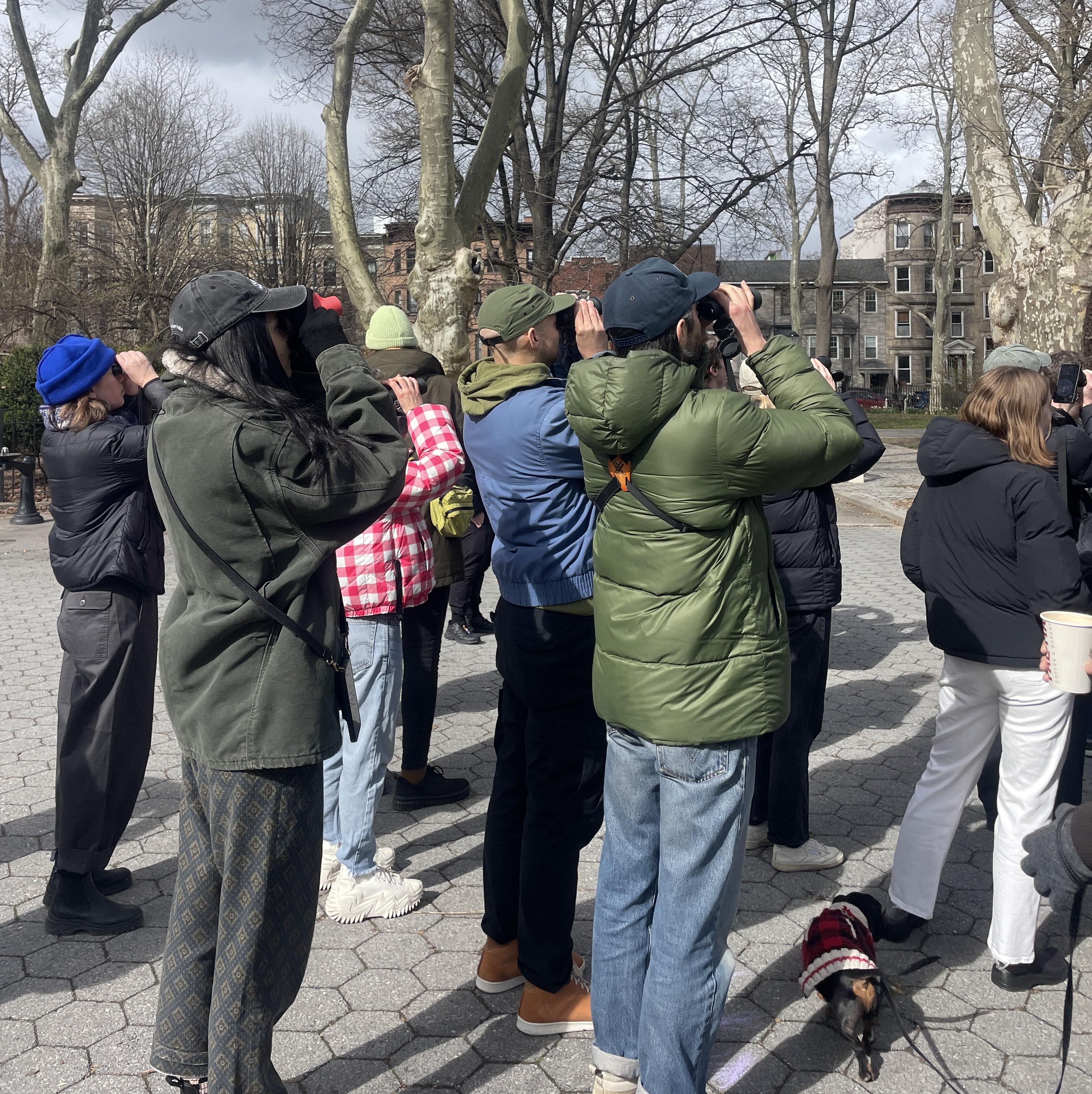 In Greenpoint, a wacky new birding group is ruffling some feathers
