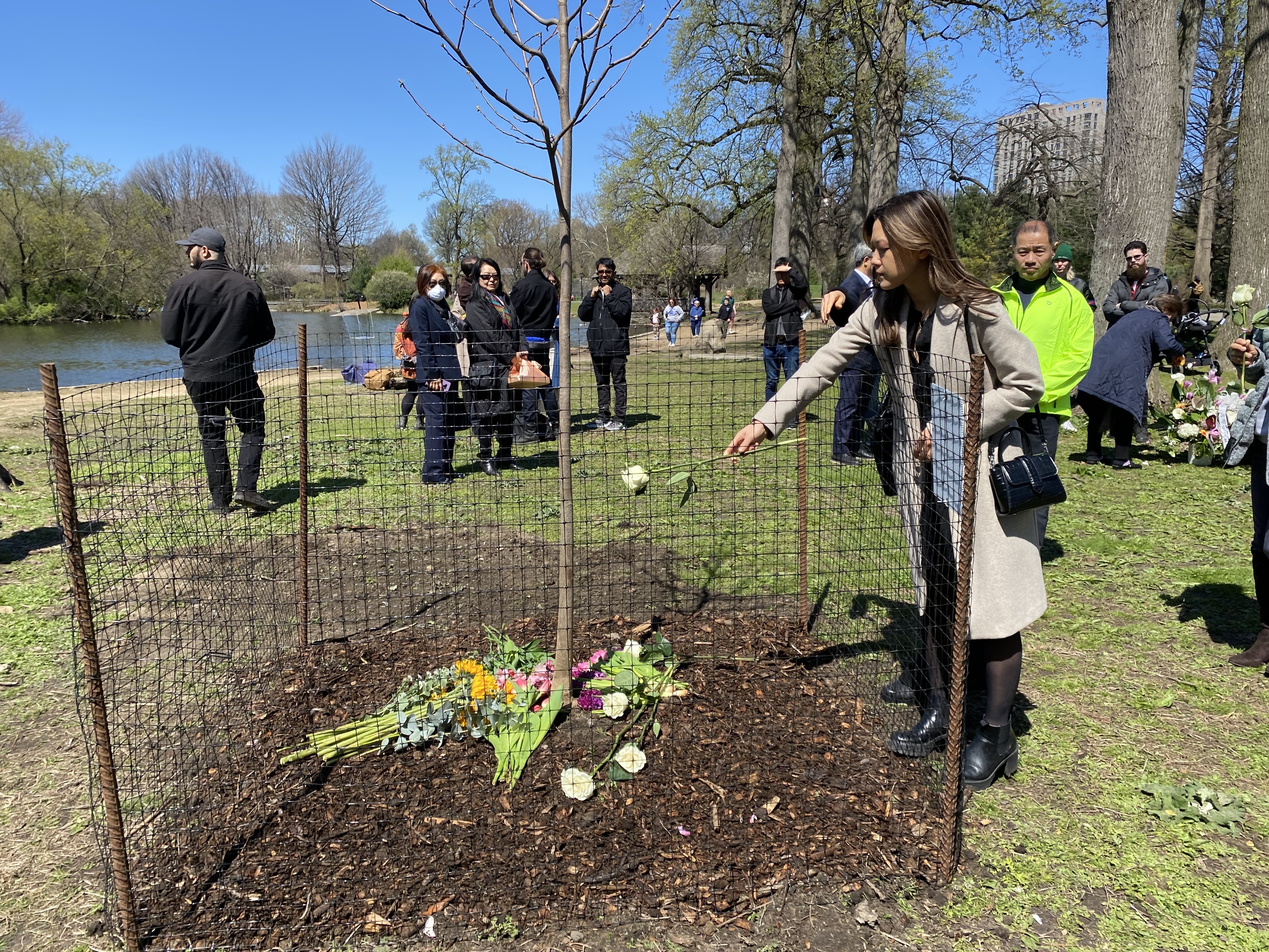 In Prospect Park, a tree grows in honor of Christina Yuna Lee