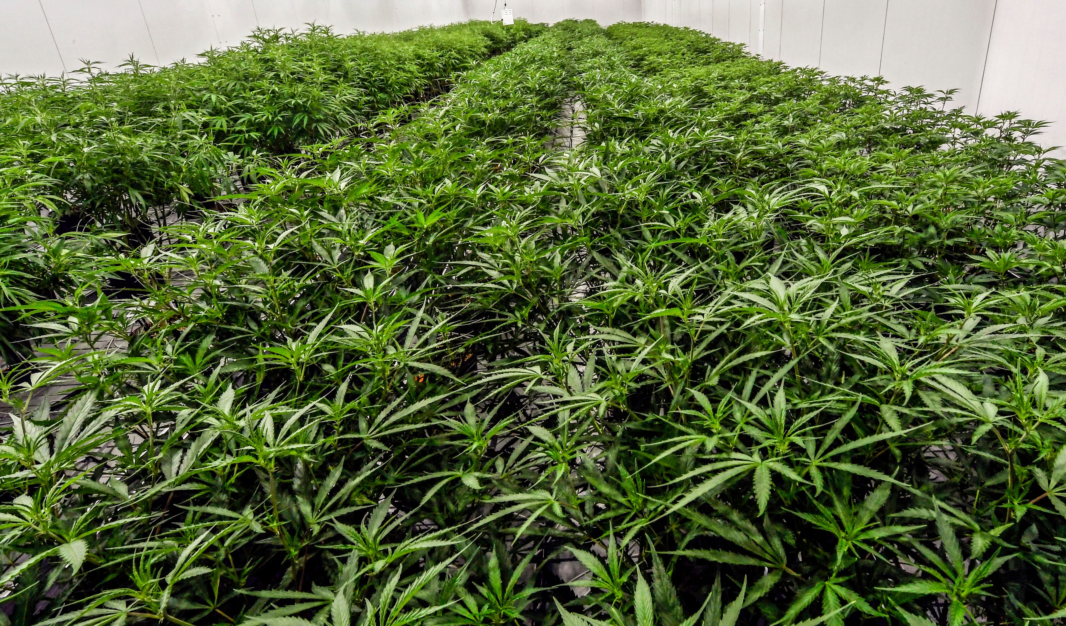 NJ (finally) approves first cannabis stores for recreational sales