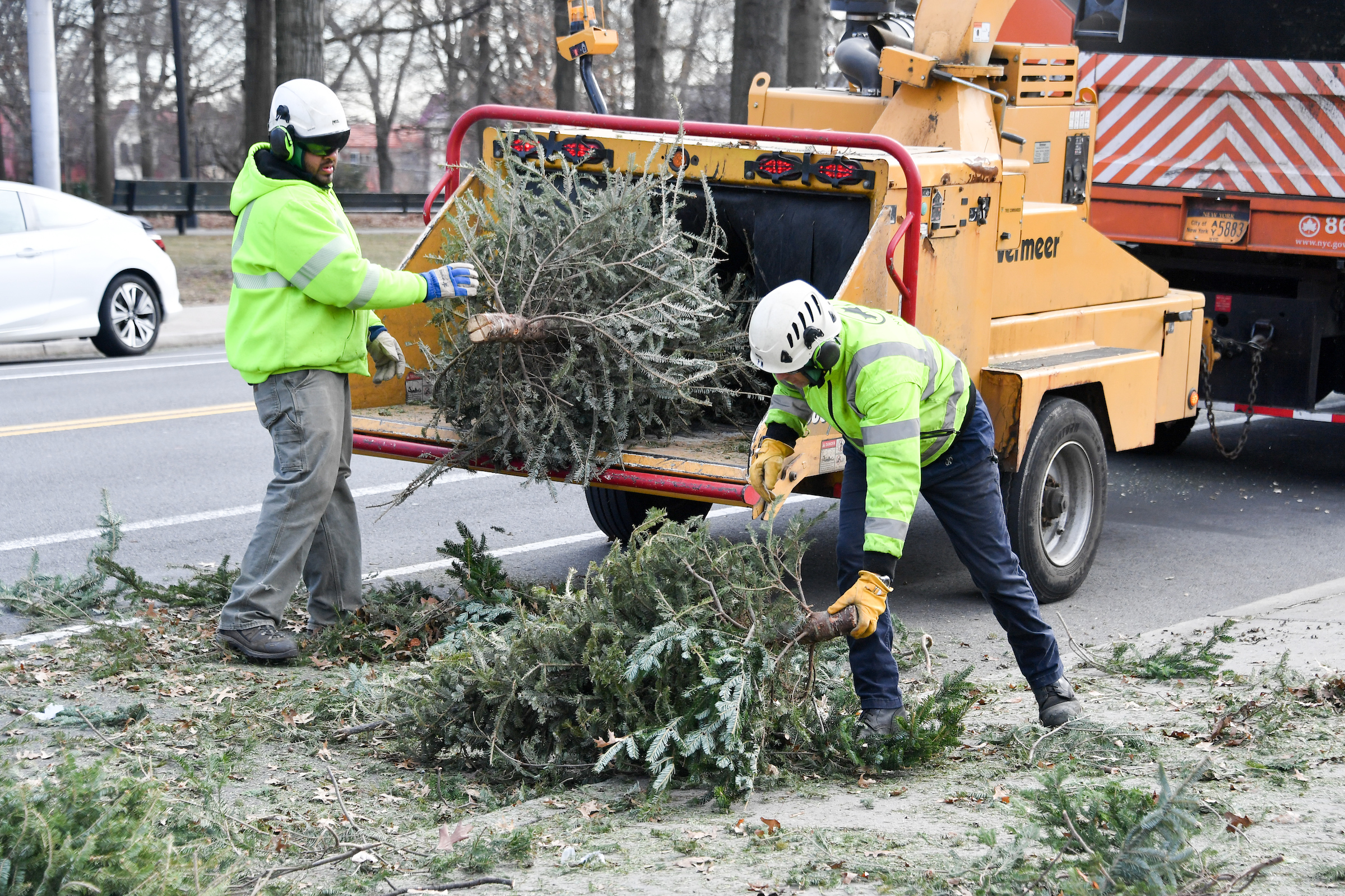Gather Ye Yuletide Trees For The Annual Mulchfest Gather Ye Yuletide Trees For The Annual Mulchfest