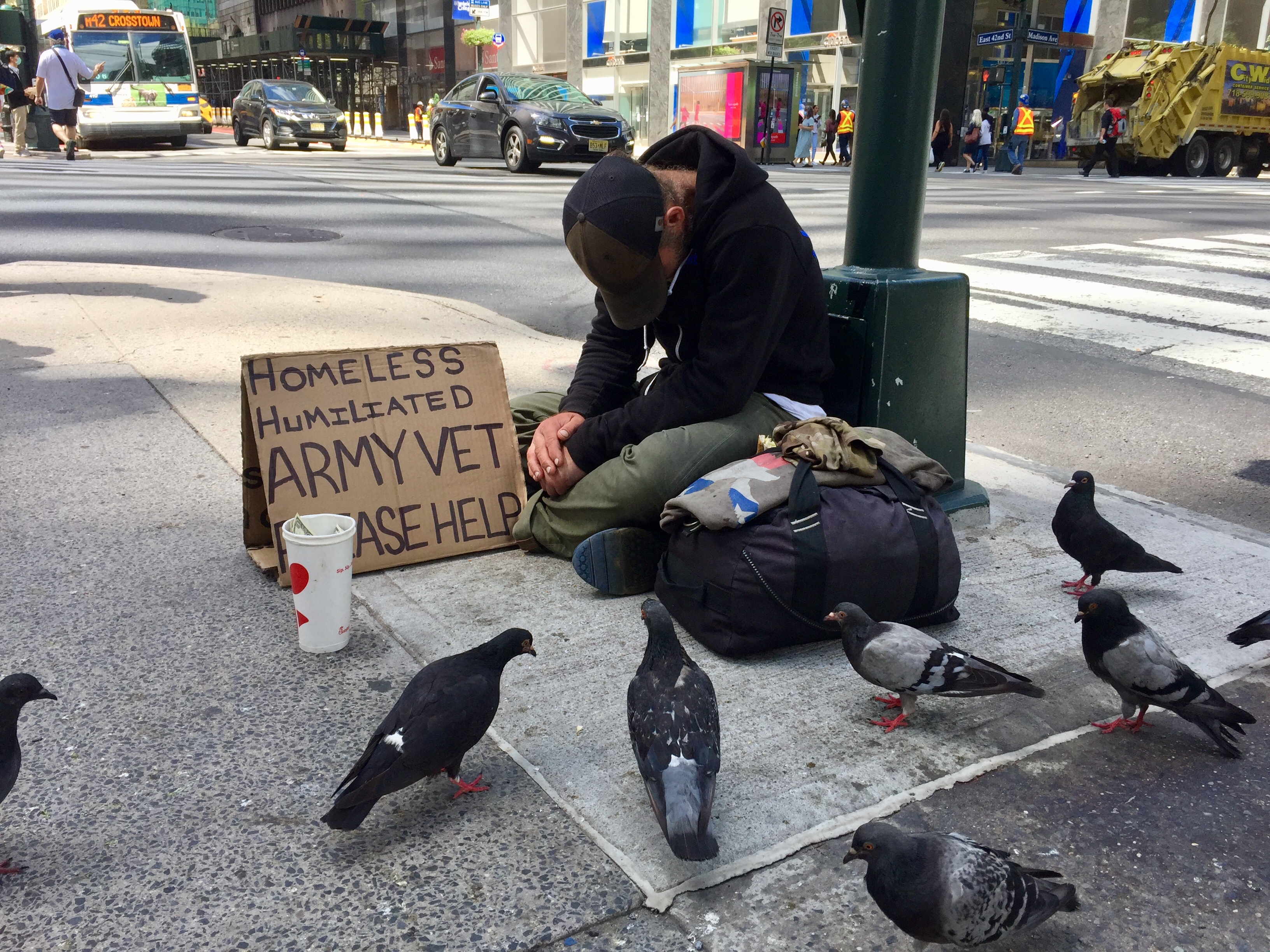 A man sitting in front of a street lamp, with a sign saying he's a Veteran... pigeons in the foreground