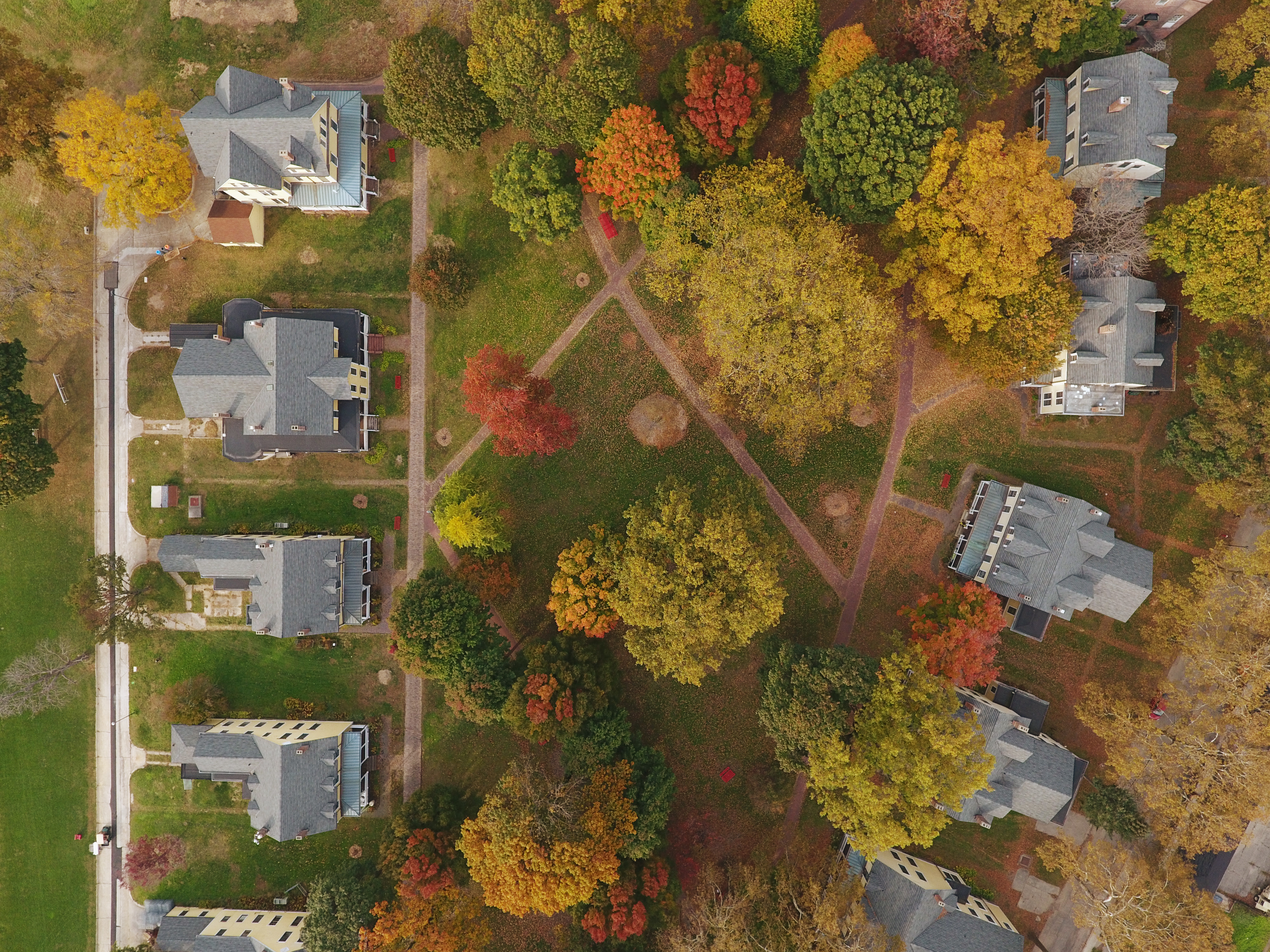 Behold, The Spectacular Fall Foliage On Governors Island From Above