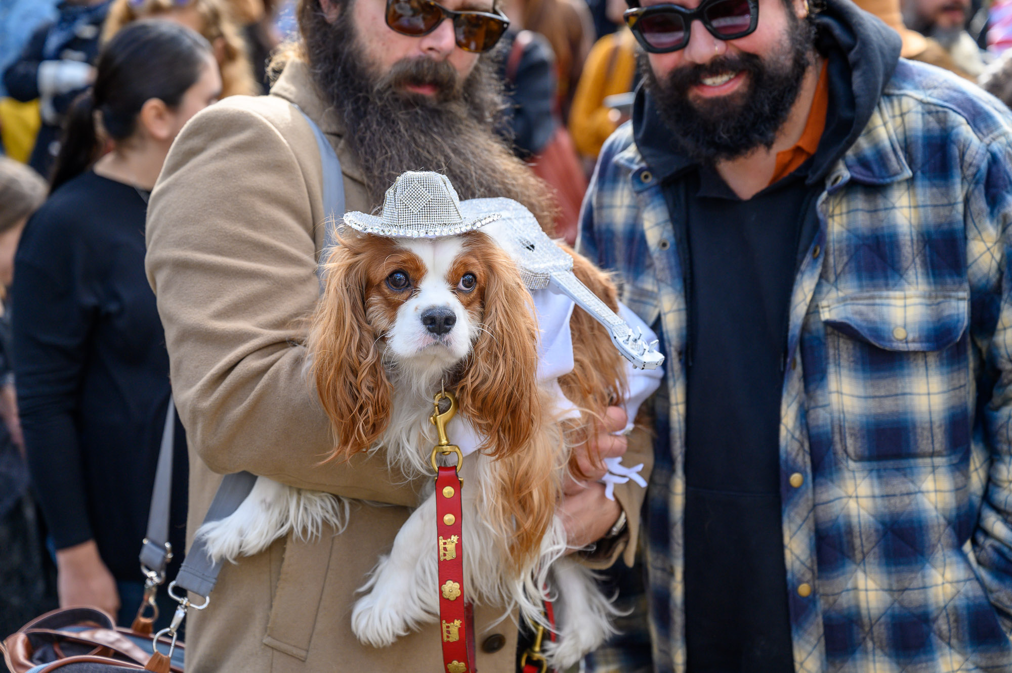 Cut4 on X: The @SFGiants held a dog costume contest, and ballpark