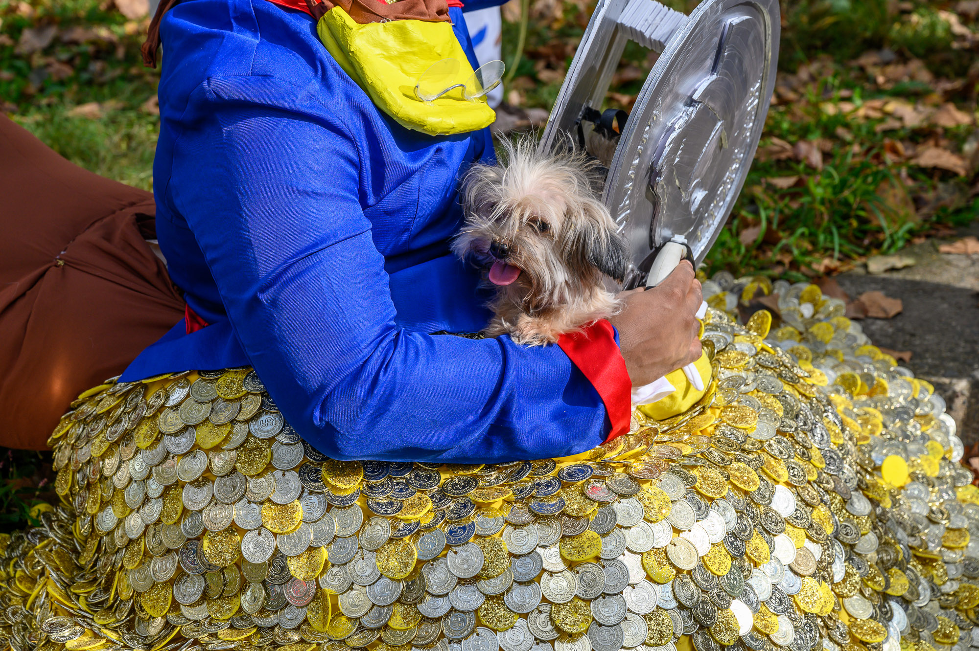 Photos: Fort Greene dog costume contest