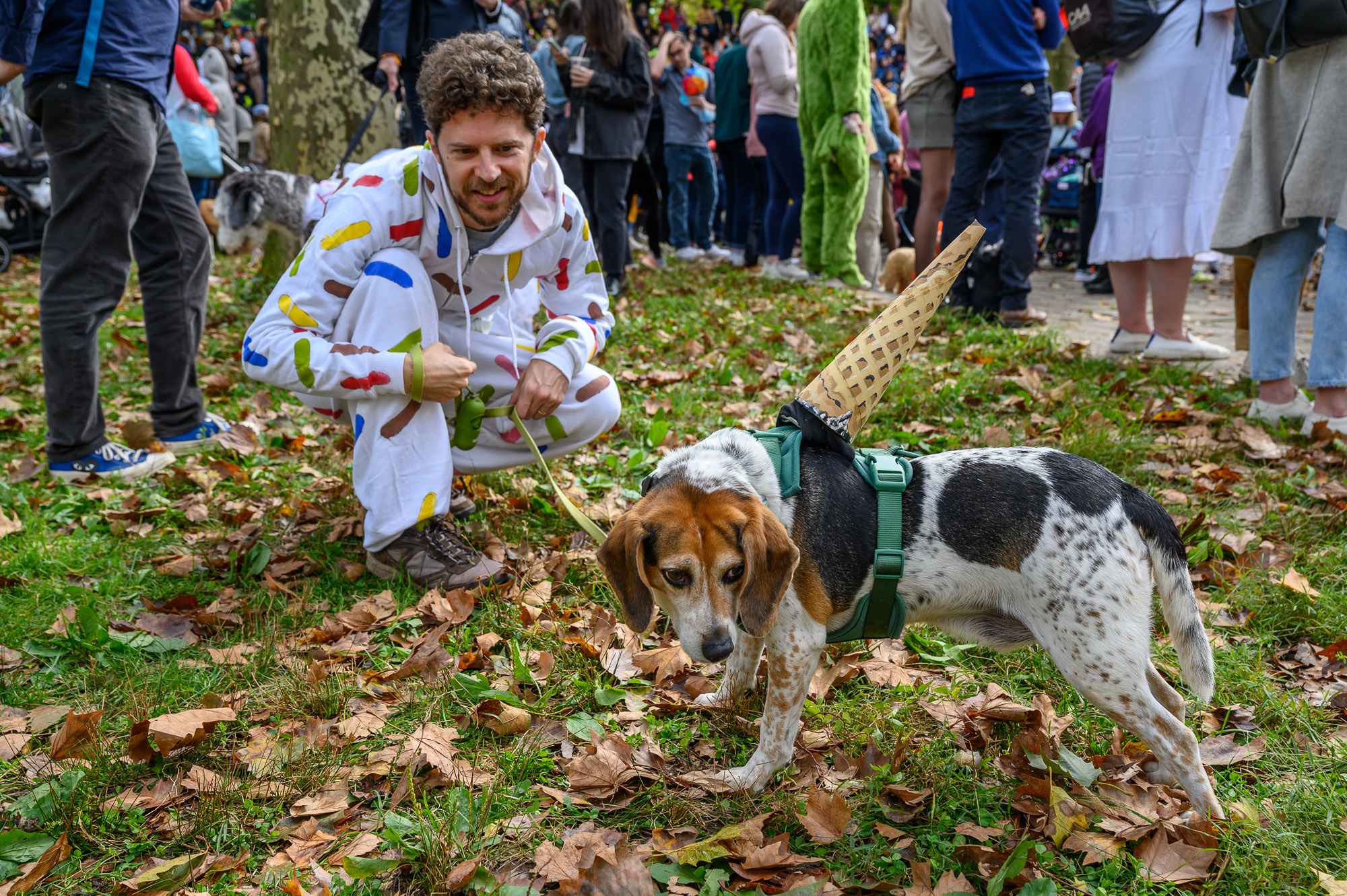 Cut4 on X: The @SFGiants held a dog costume contest, and ballpark