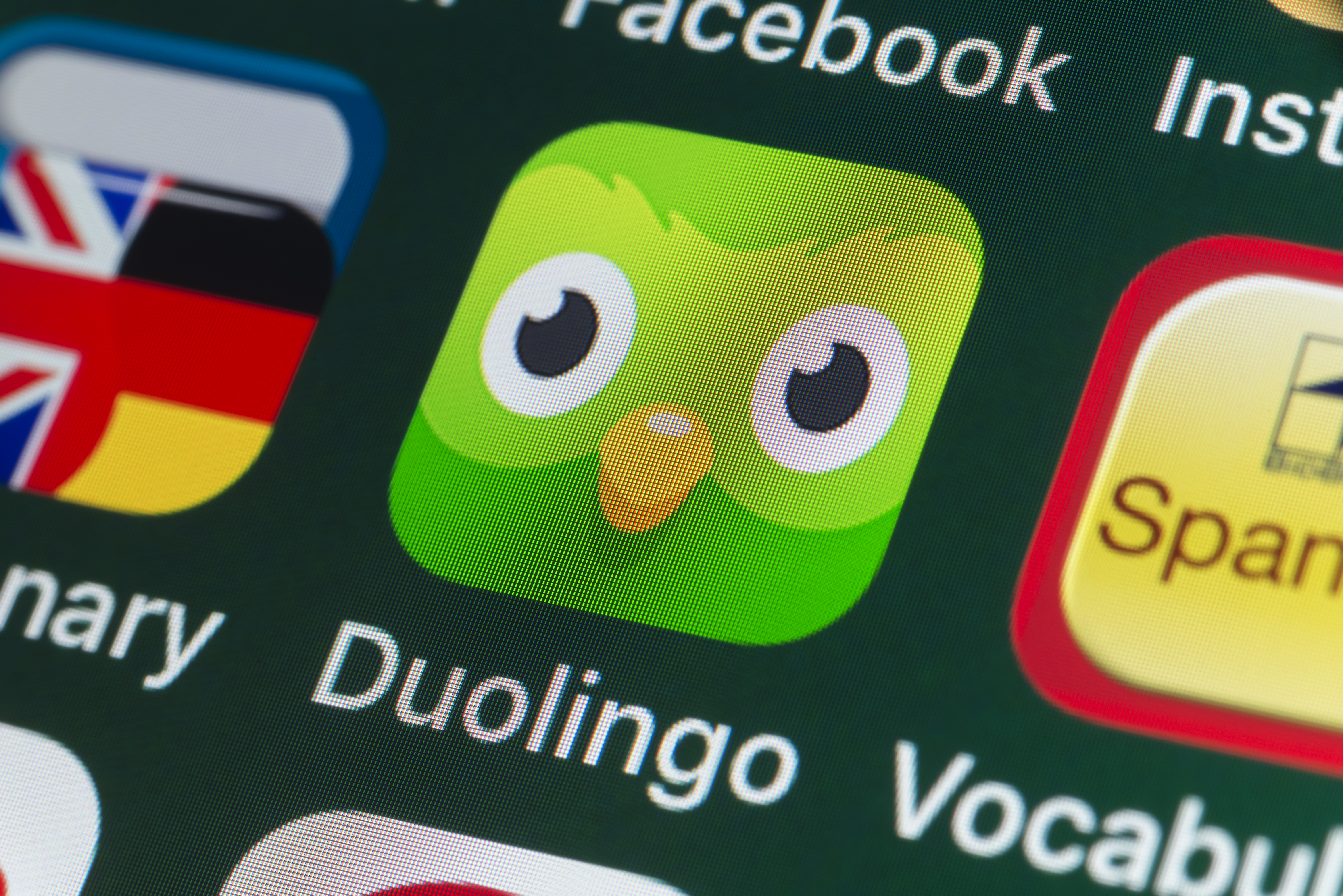 Early Addition: Can you find true love on Duolingo? Early Addition: Can you find true love on Duolingo?