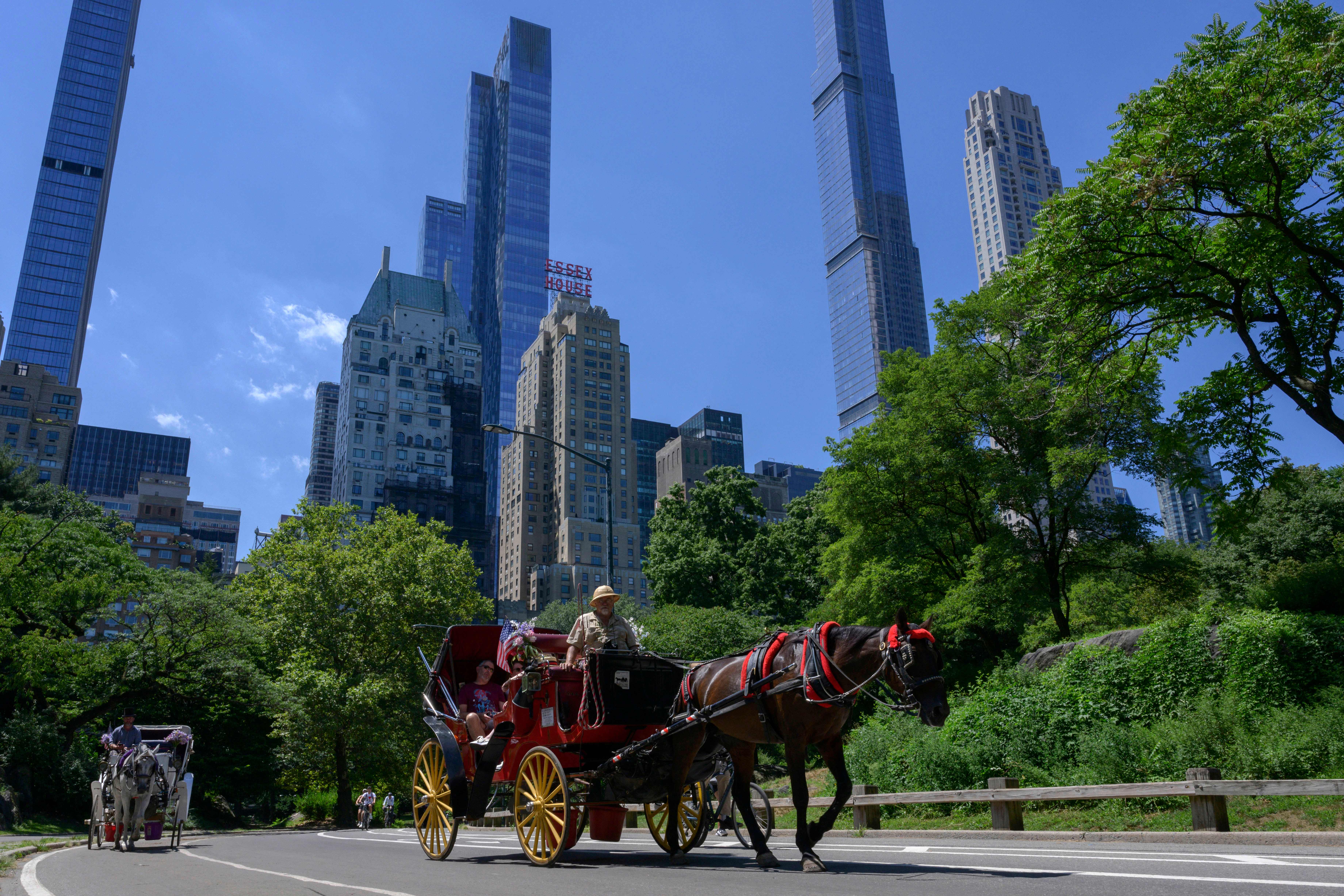 Group calls for cruelty probe into NYC&rsquo;s horse carriage industry
