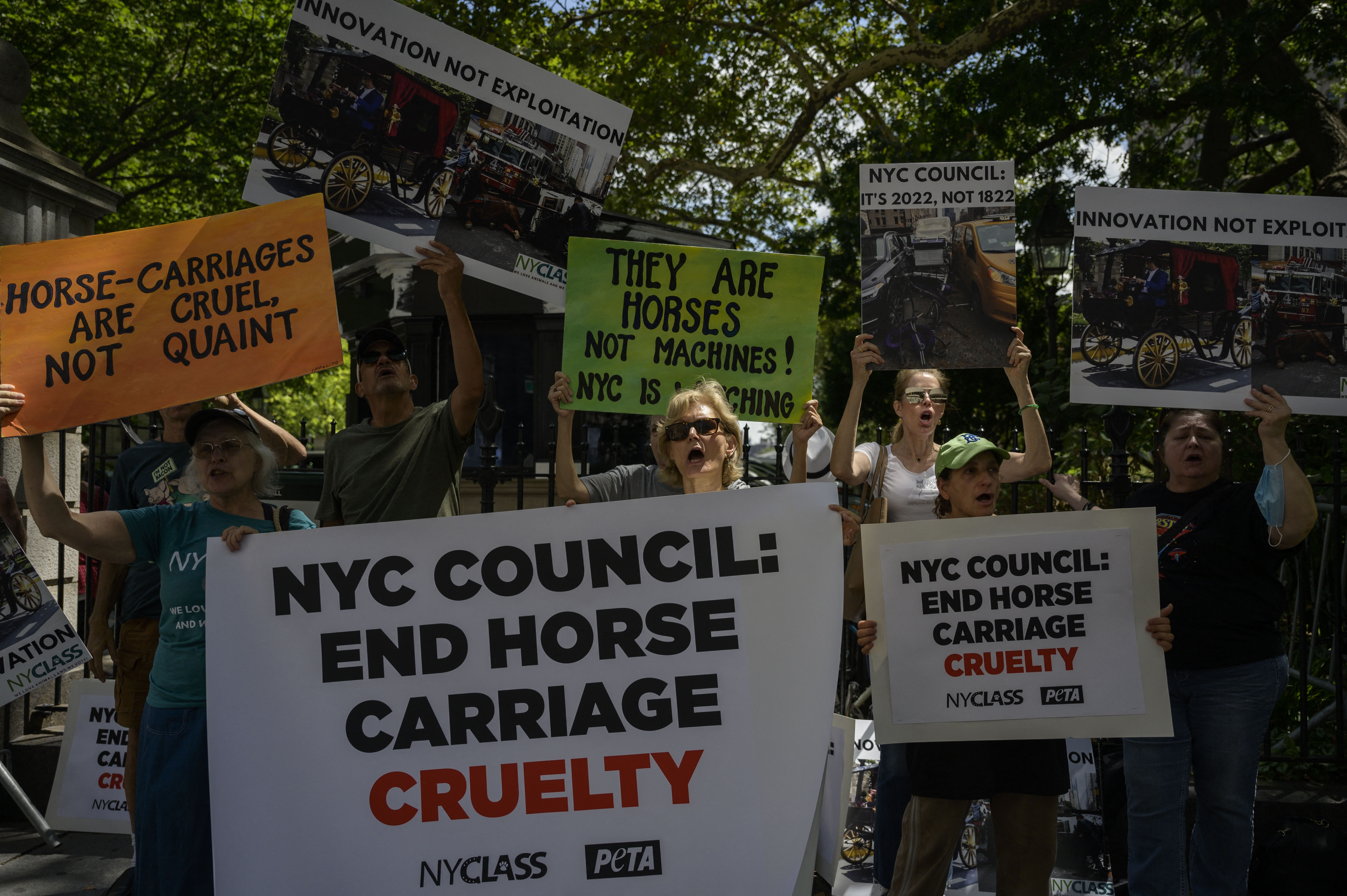 Vet says carriage horse that collapsed in Manhattan should not have been working