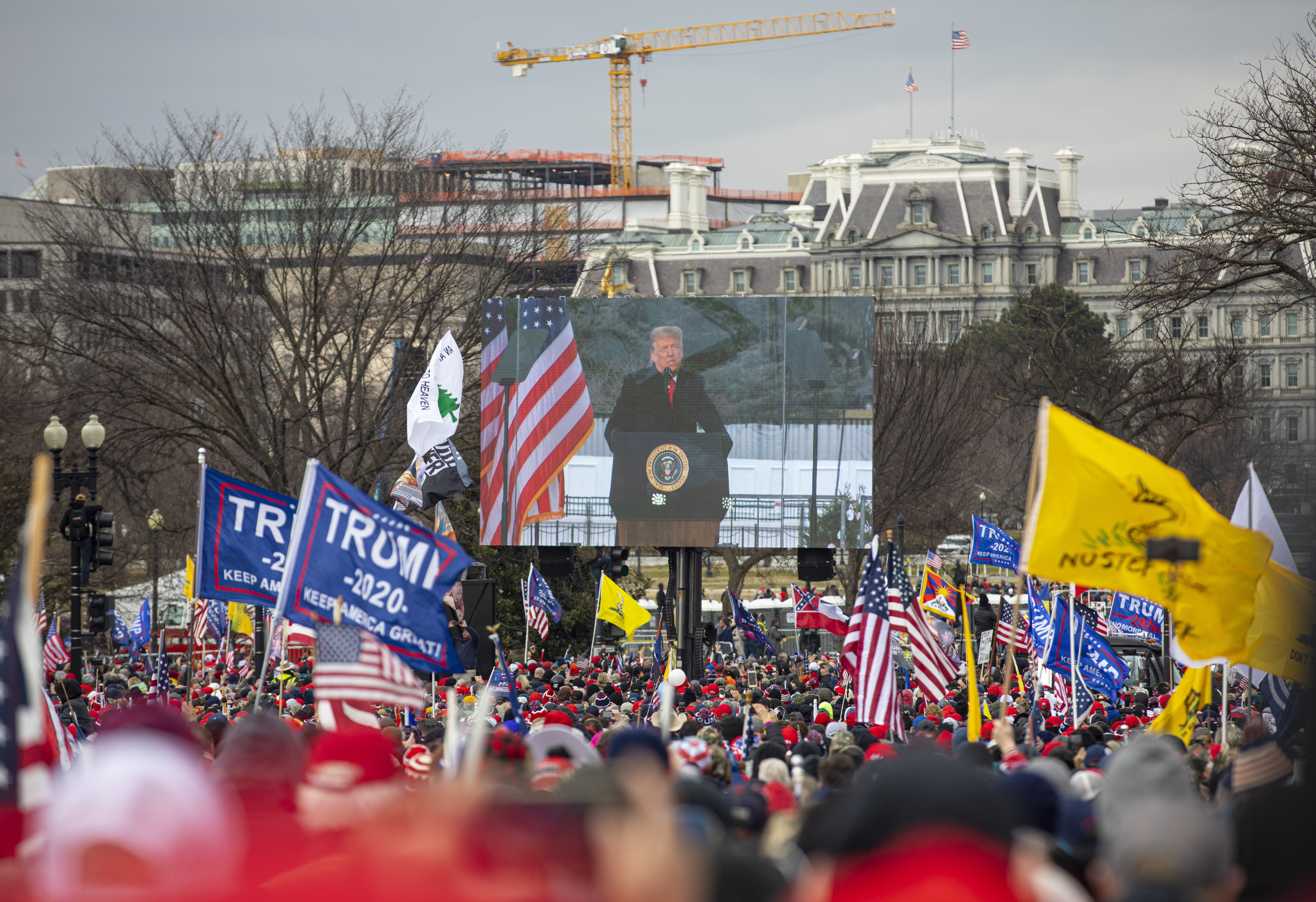 Majority of NYC councilmembers, all Democrats, say Trump shouldn&rsquo;t be on NY ballot