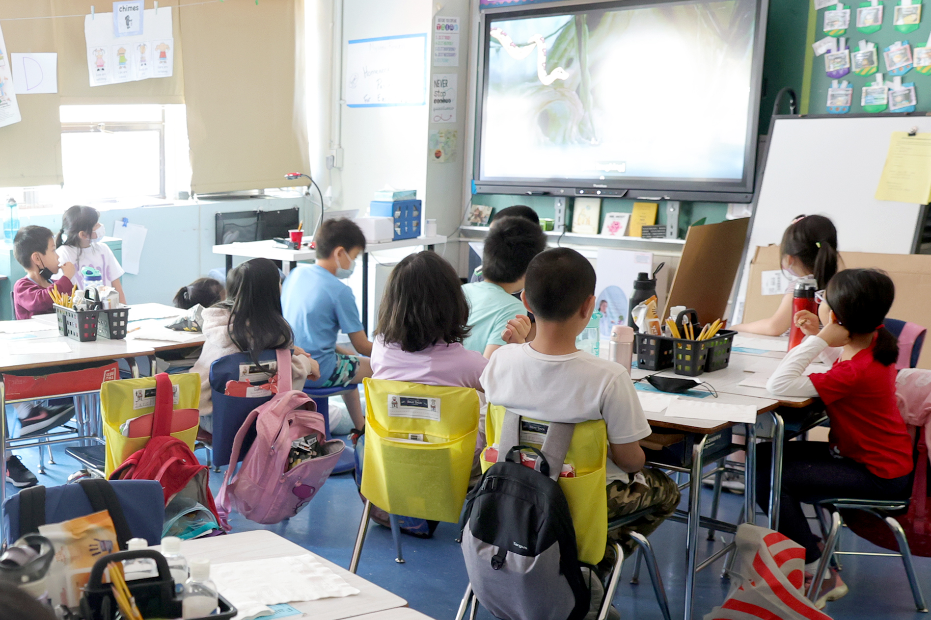 Asylum-seeking students use translation apps to overcome language barrier in NYC classrooms