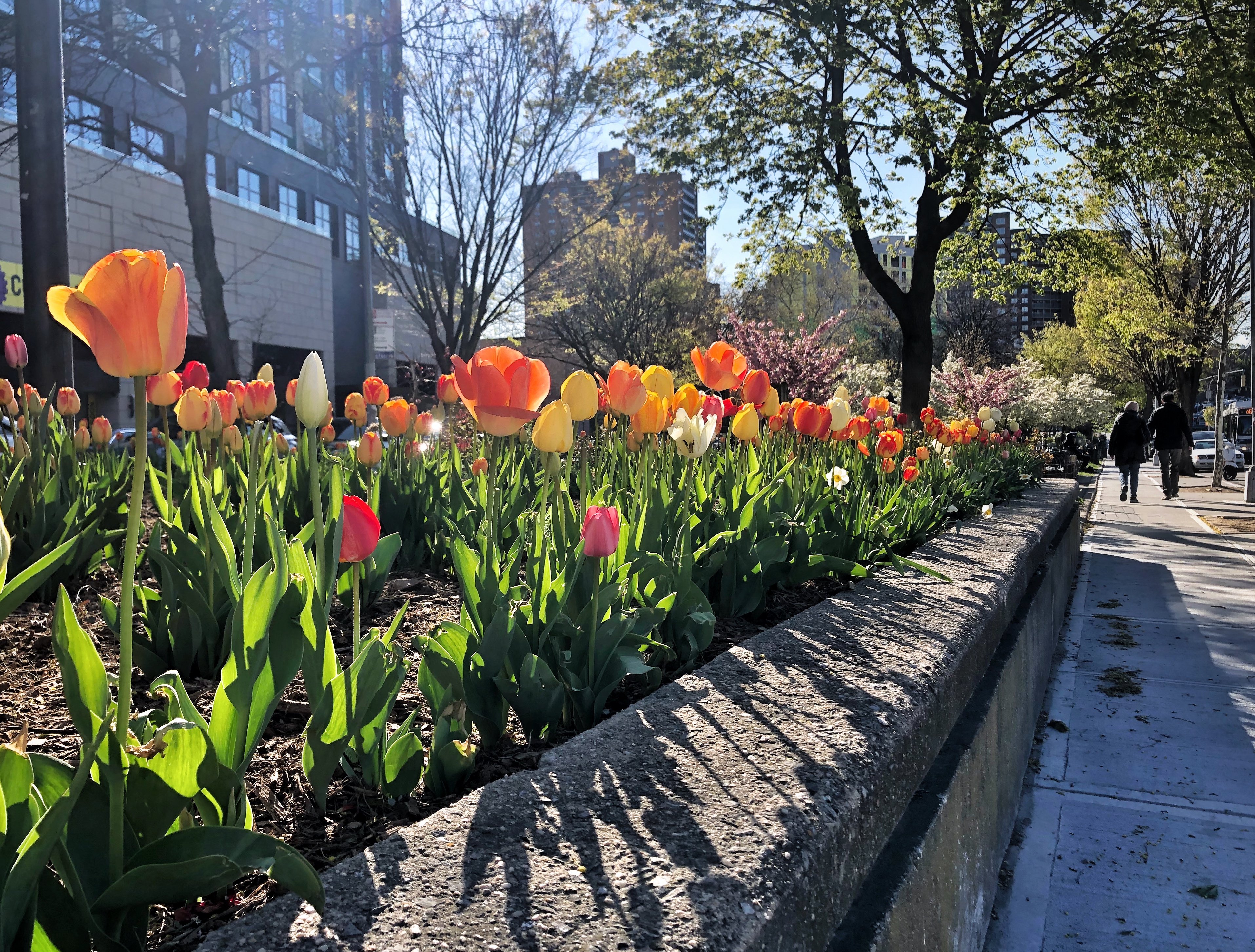 Springtime in New York City