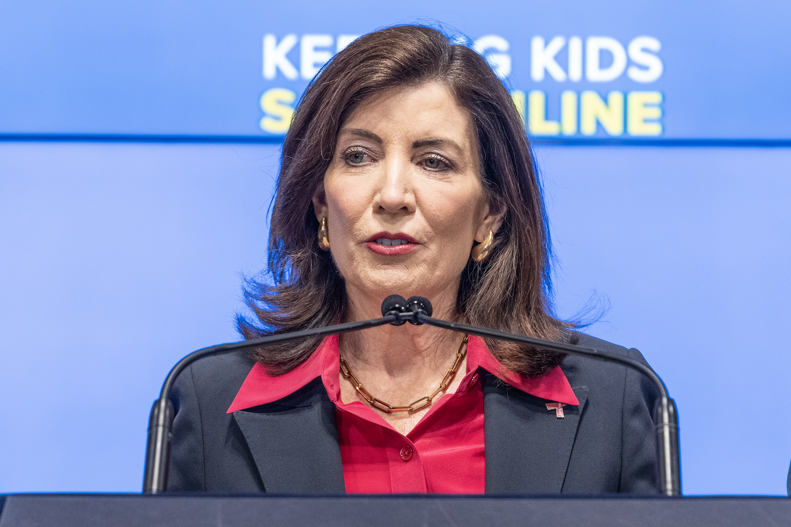 New York launches hate incident hotline in wake of Israel-Hamas war New York launches hate incident hotline in wake of Israel-Hamas war