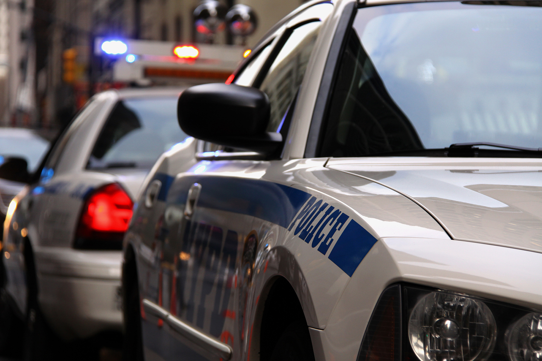 City investigations chief says NYPD&rsquo;s gang database will be released &lsquo;within this year&rsquo;