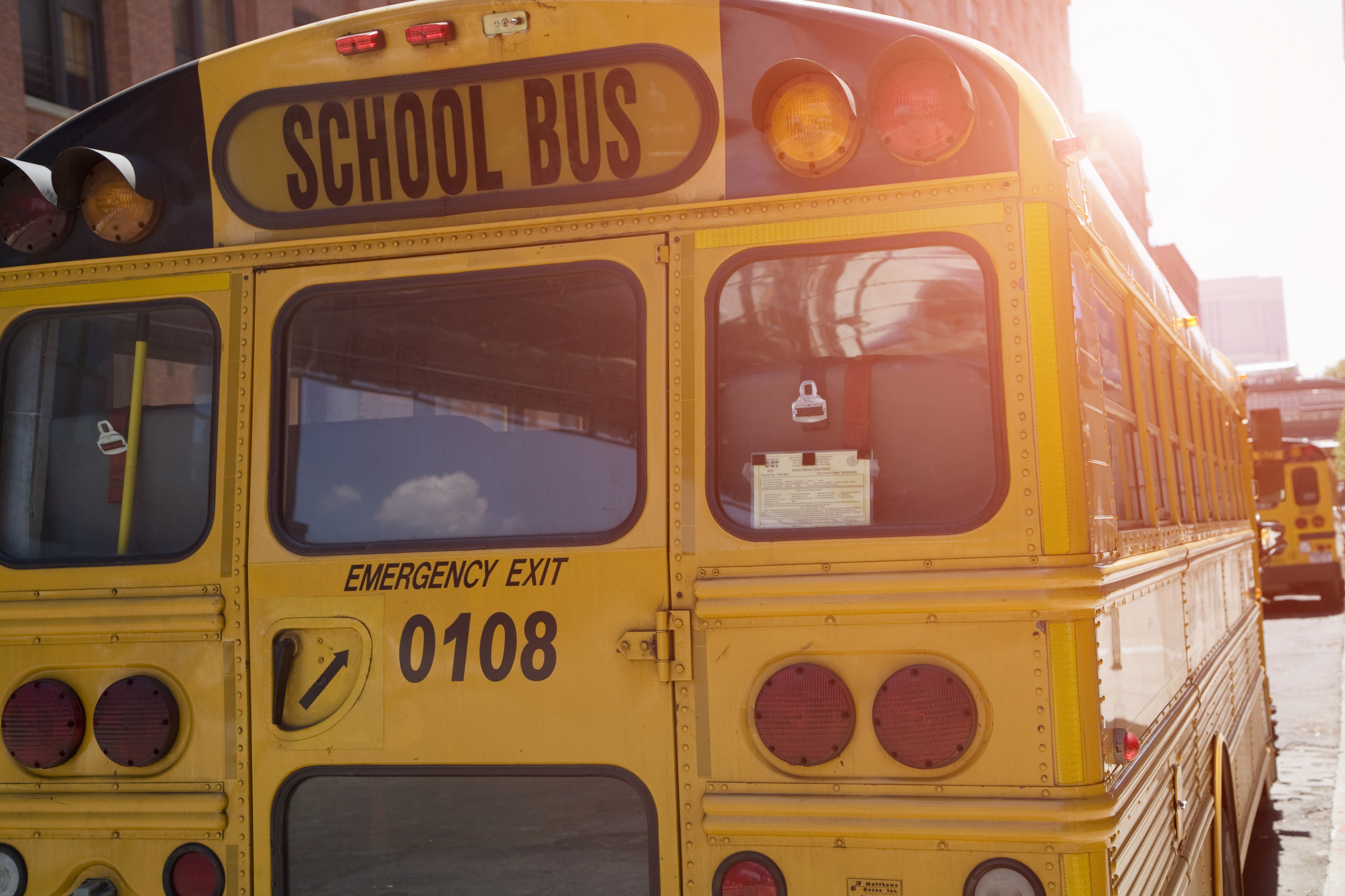 Grandmother struck and killed by school bus in