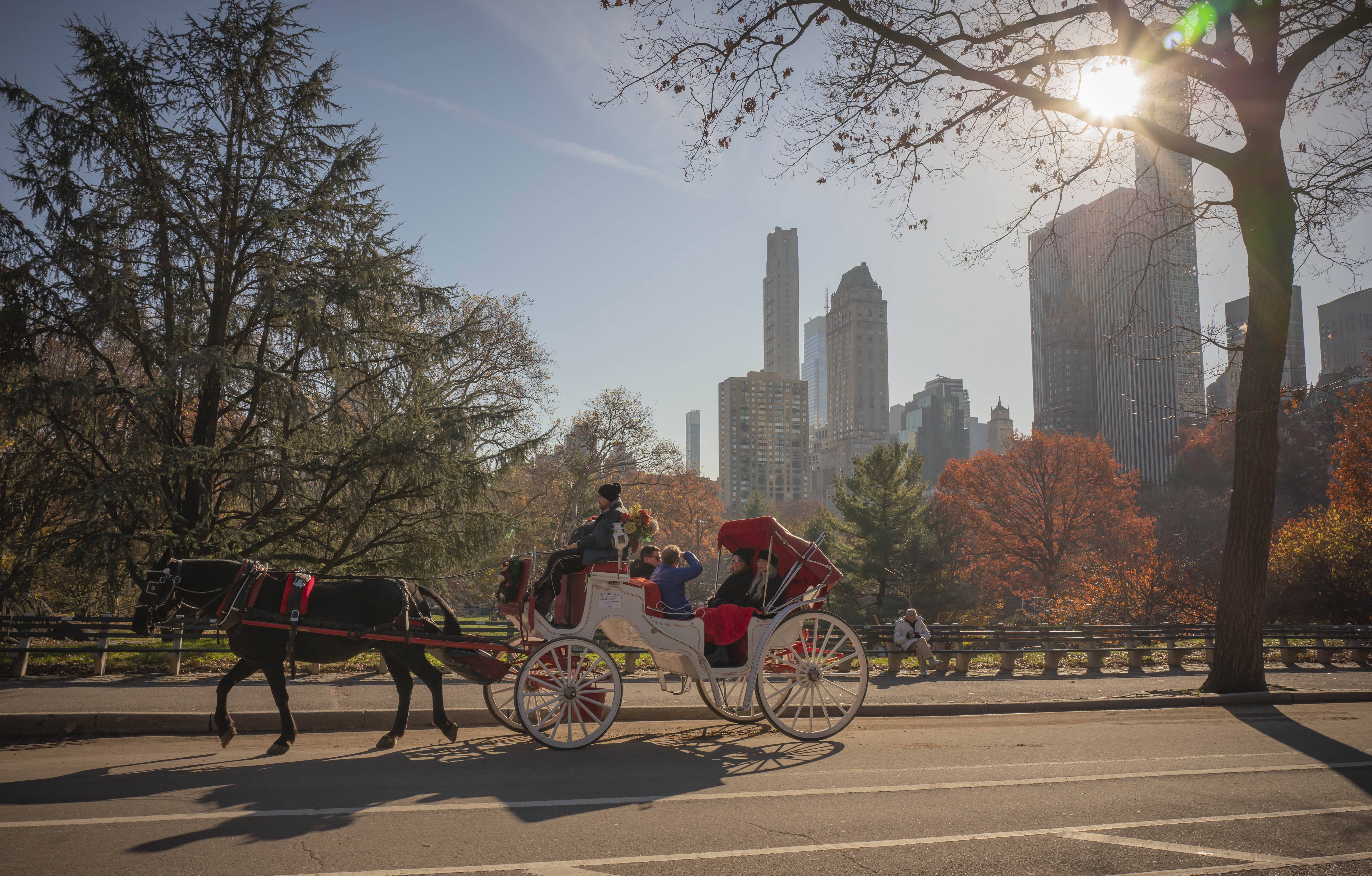 Carriage horse accident in Midtown sparks another animal rights skirmish