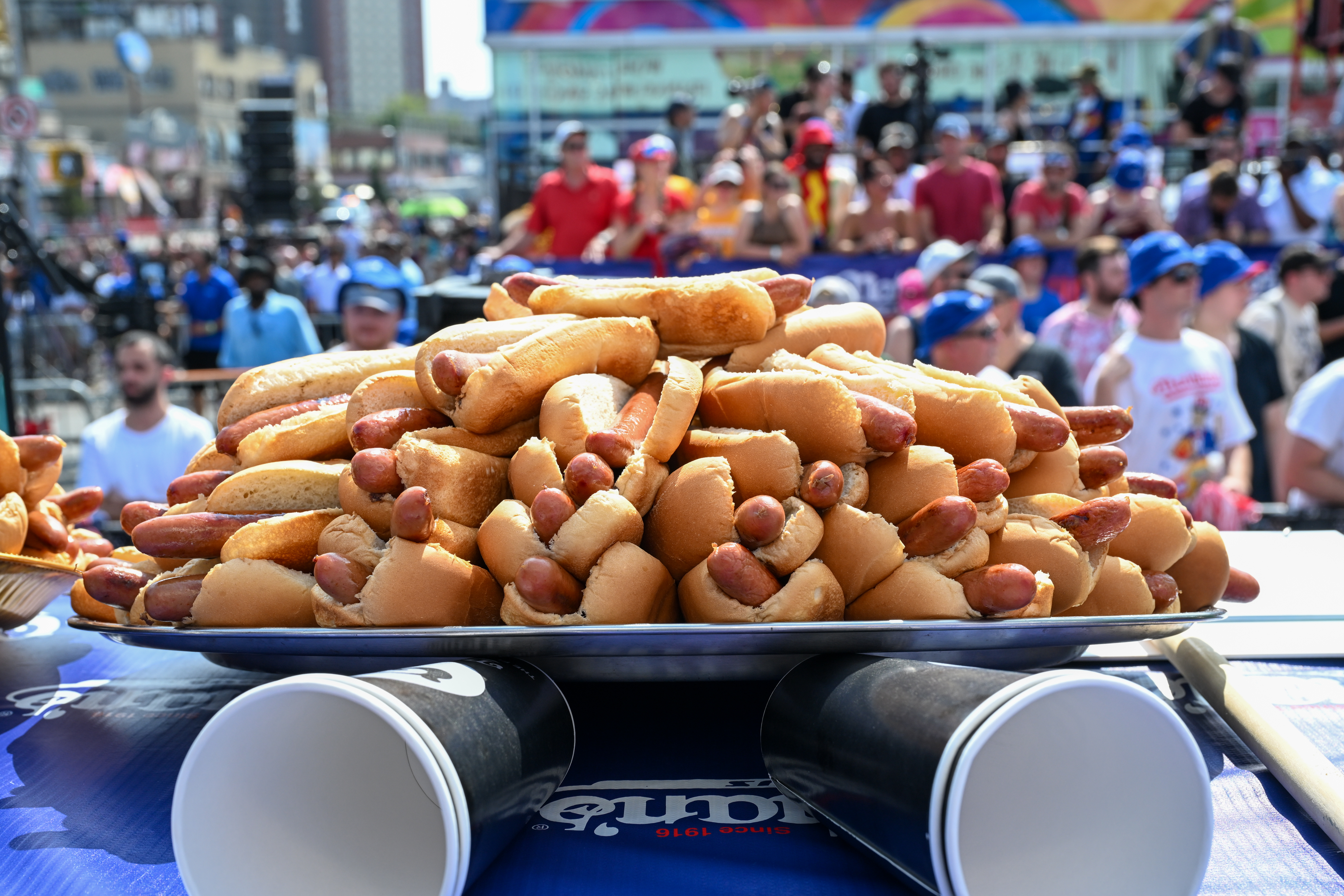 A photo of hot dogs, which may or may not be sandwiches.