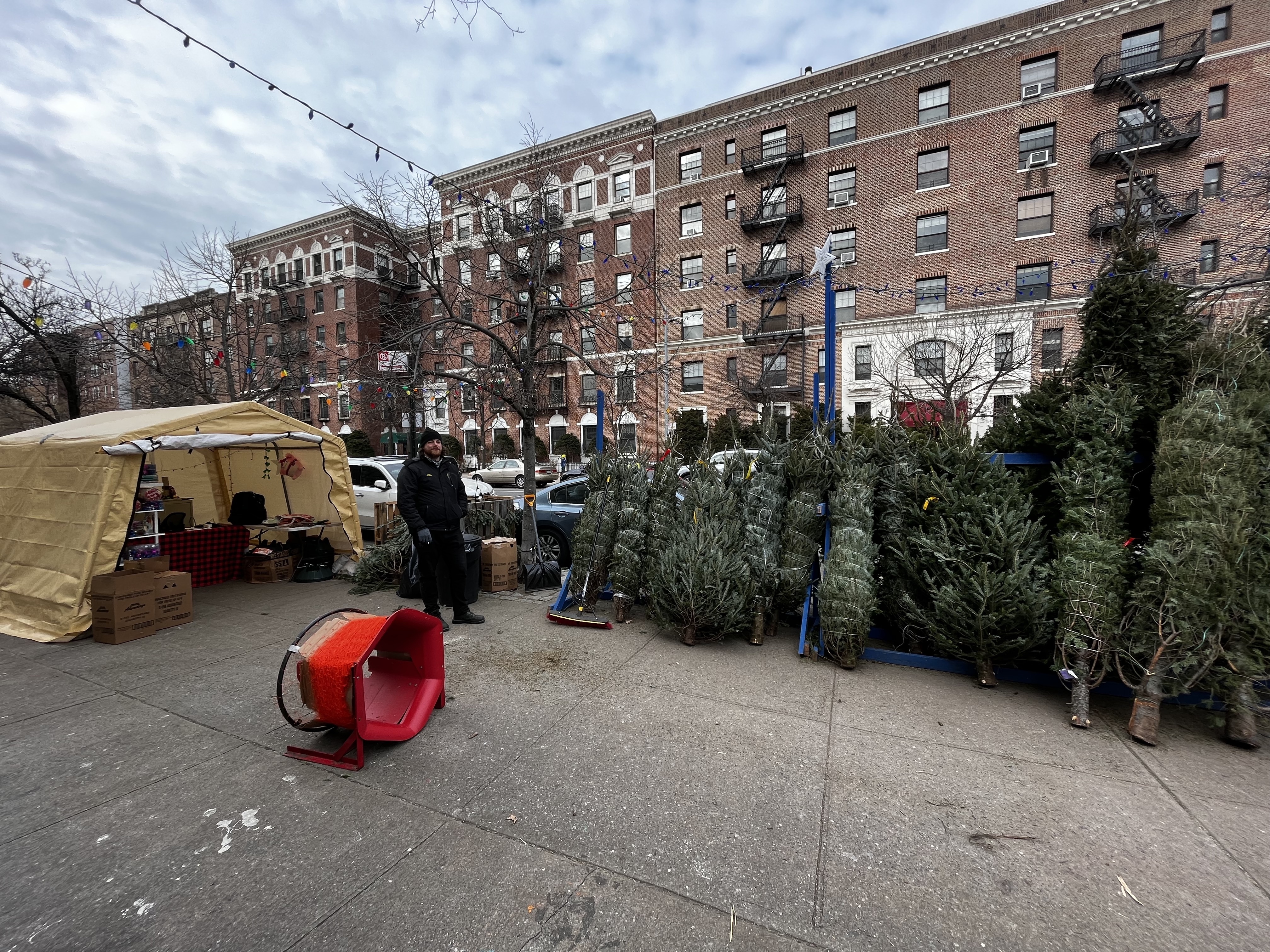 NYC Christmas tree stands giving free trees to those who need one. Just say this code word