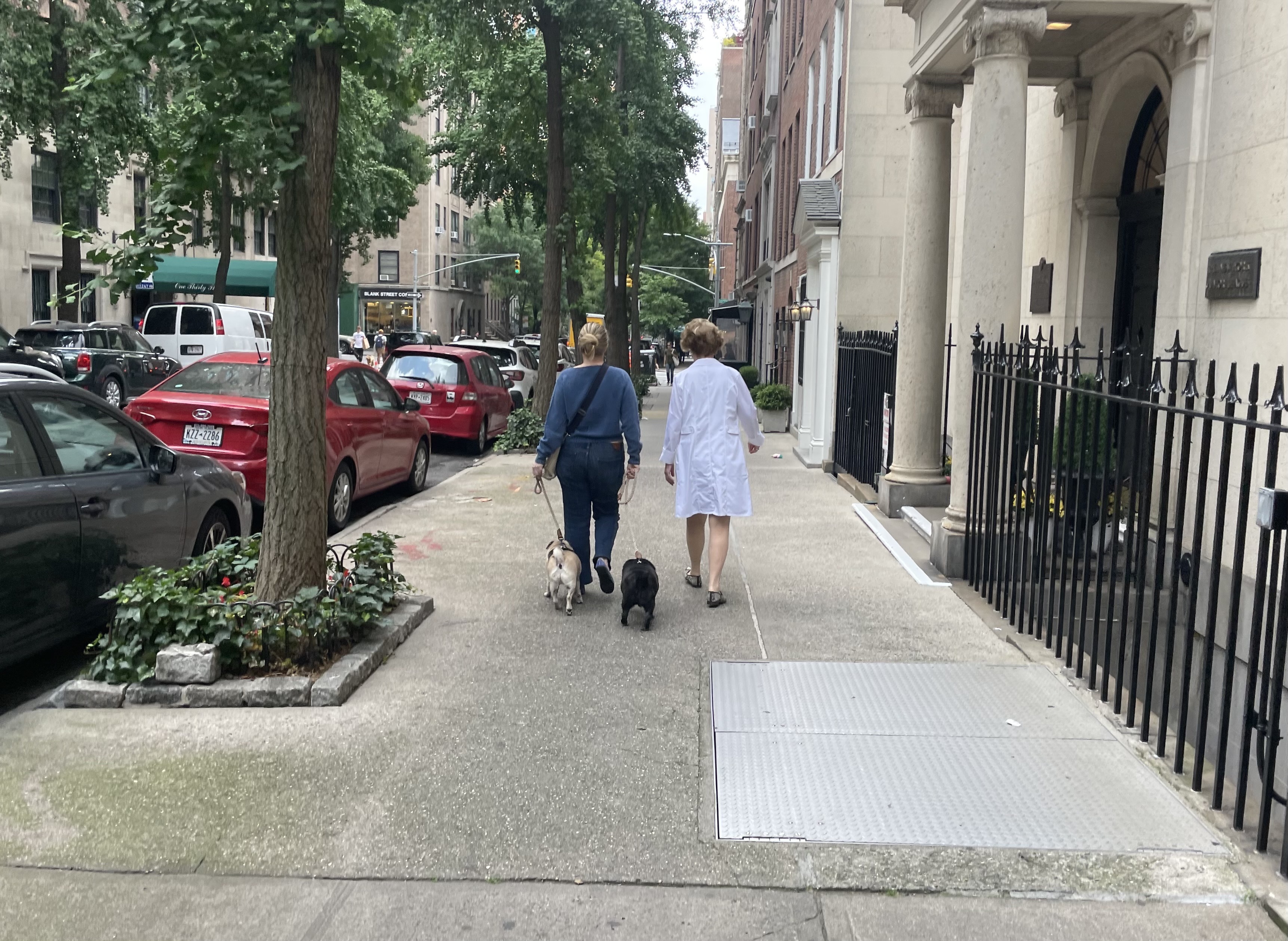 Upper East Side announces new campaign to tackle dog poop