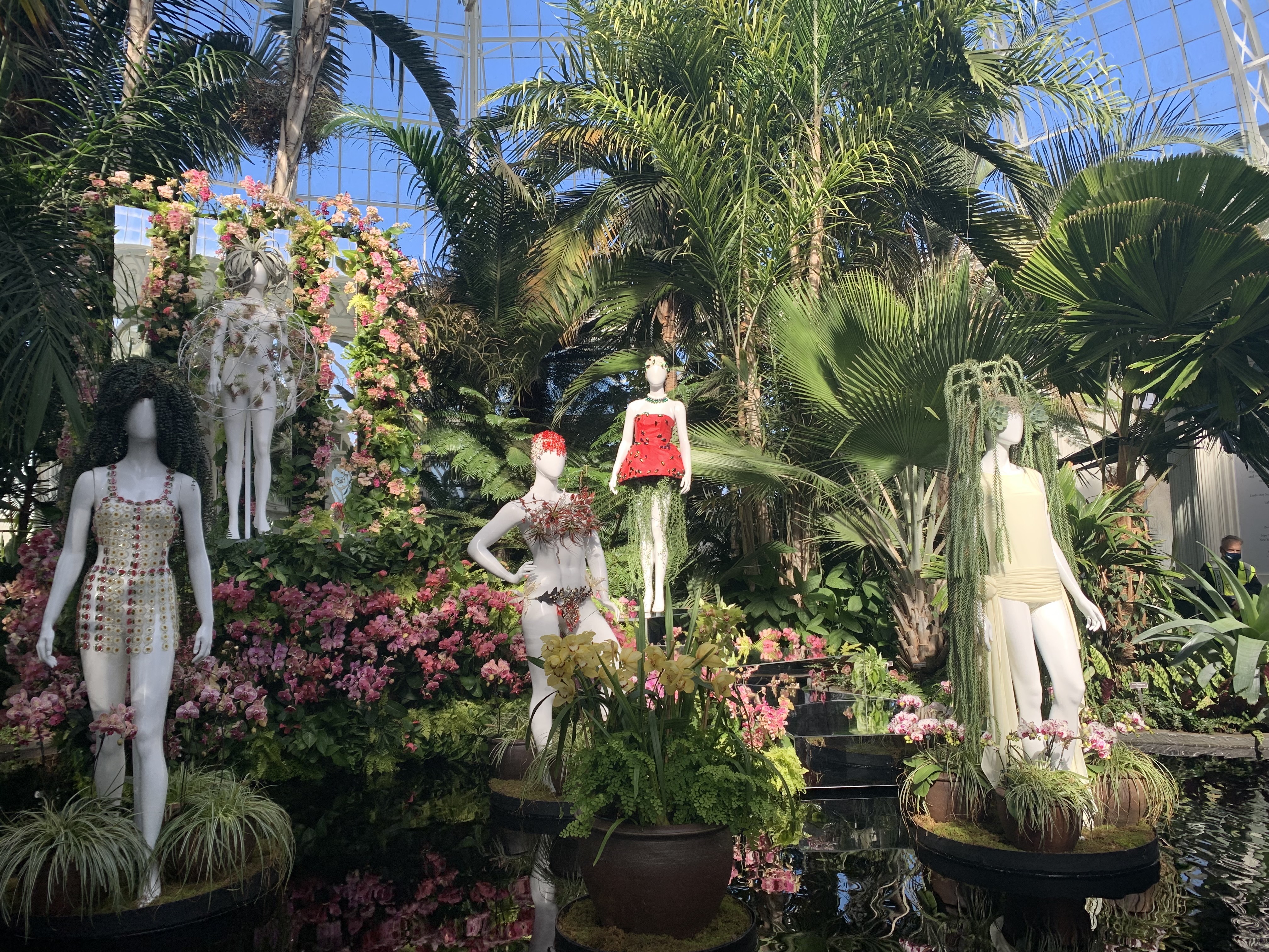 The New York Botanical Garden&rsquo;s annual orchid show opens Saturday