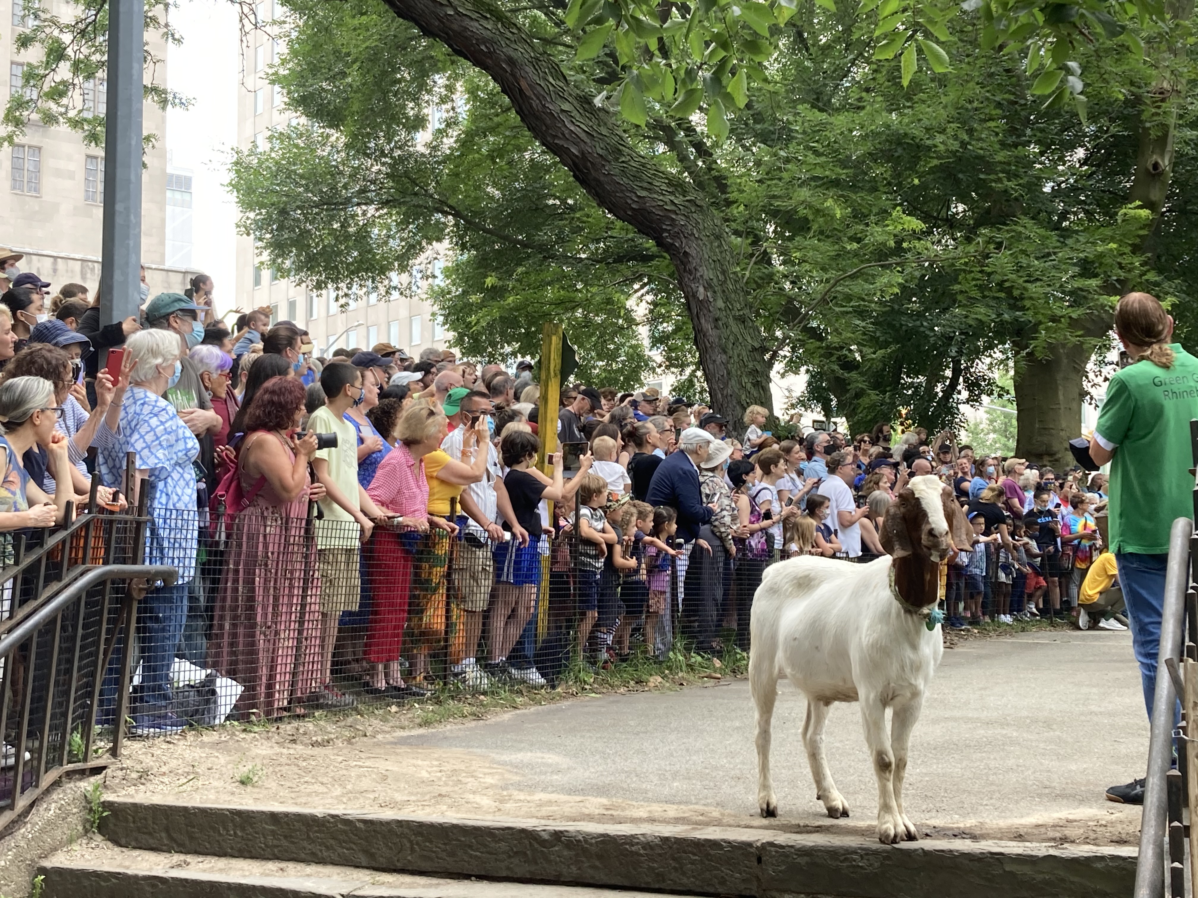 Hoof On Over To Riverside Park For The 2nd Annual Goatham Summer