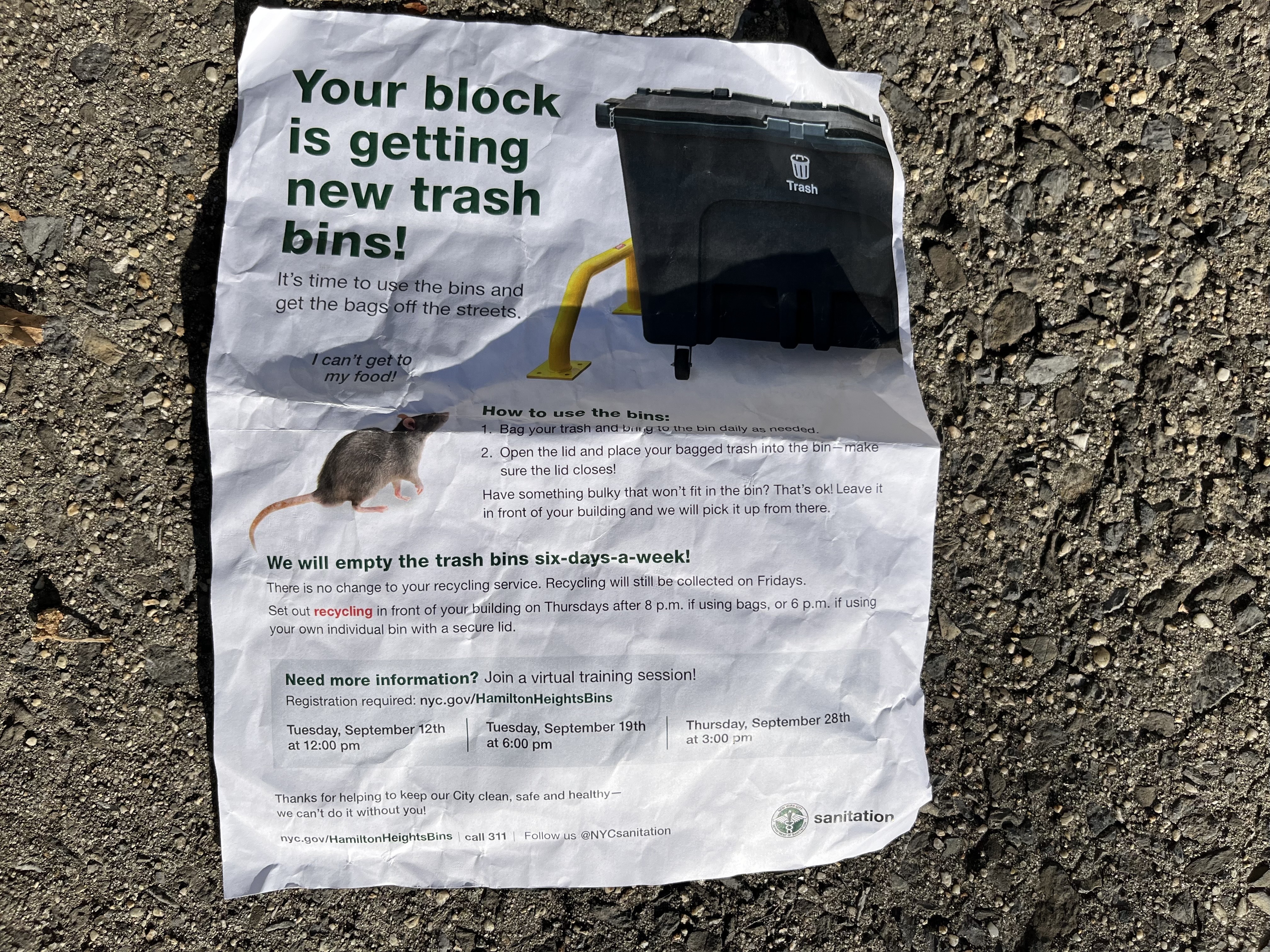 City looks at trash timing in fight against rats