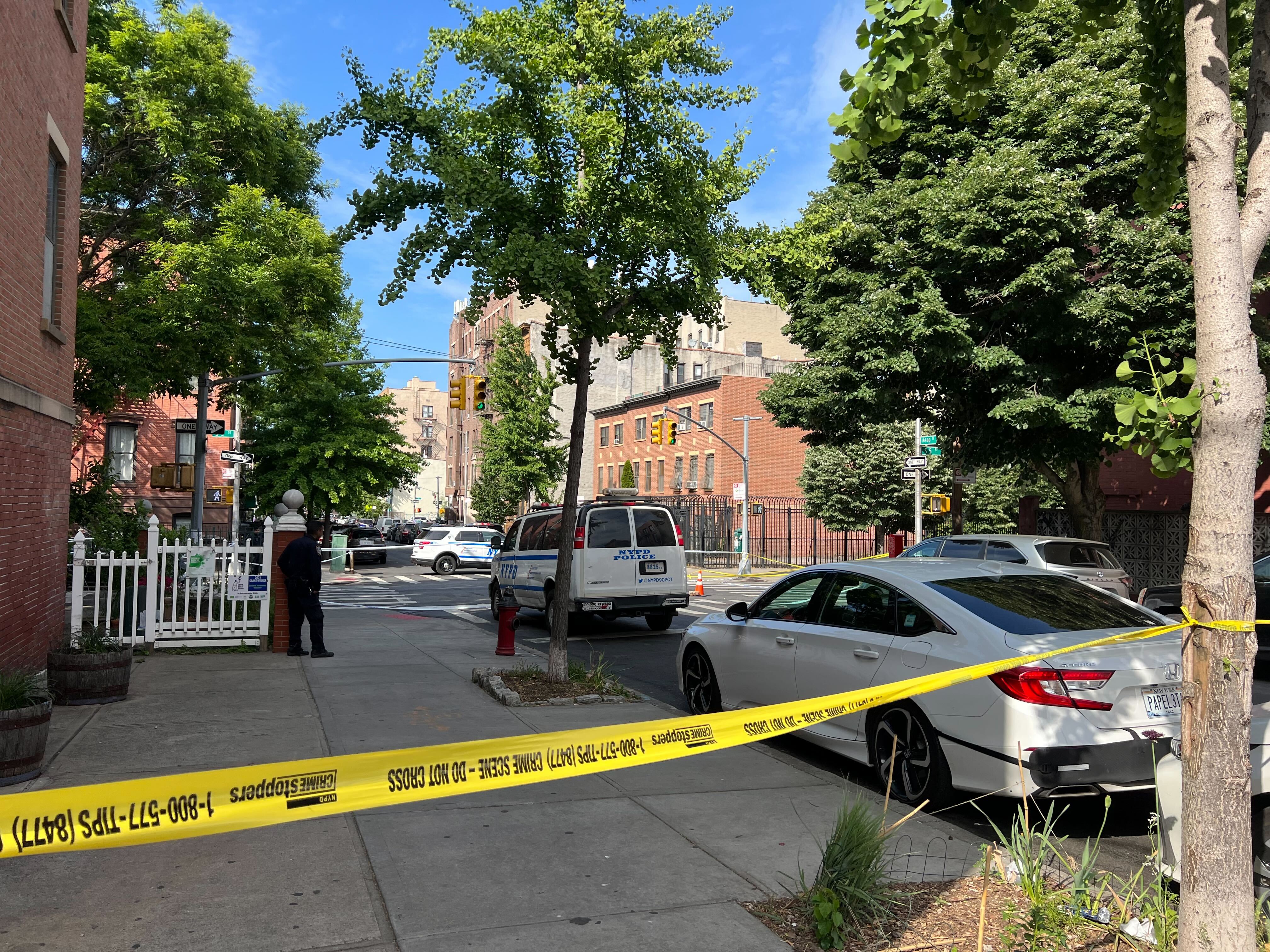 Hit-and-run driver kills man in Williamsburg Friday afternoon