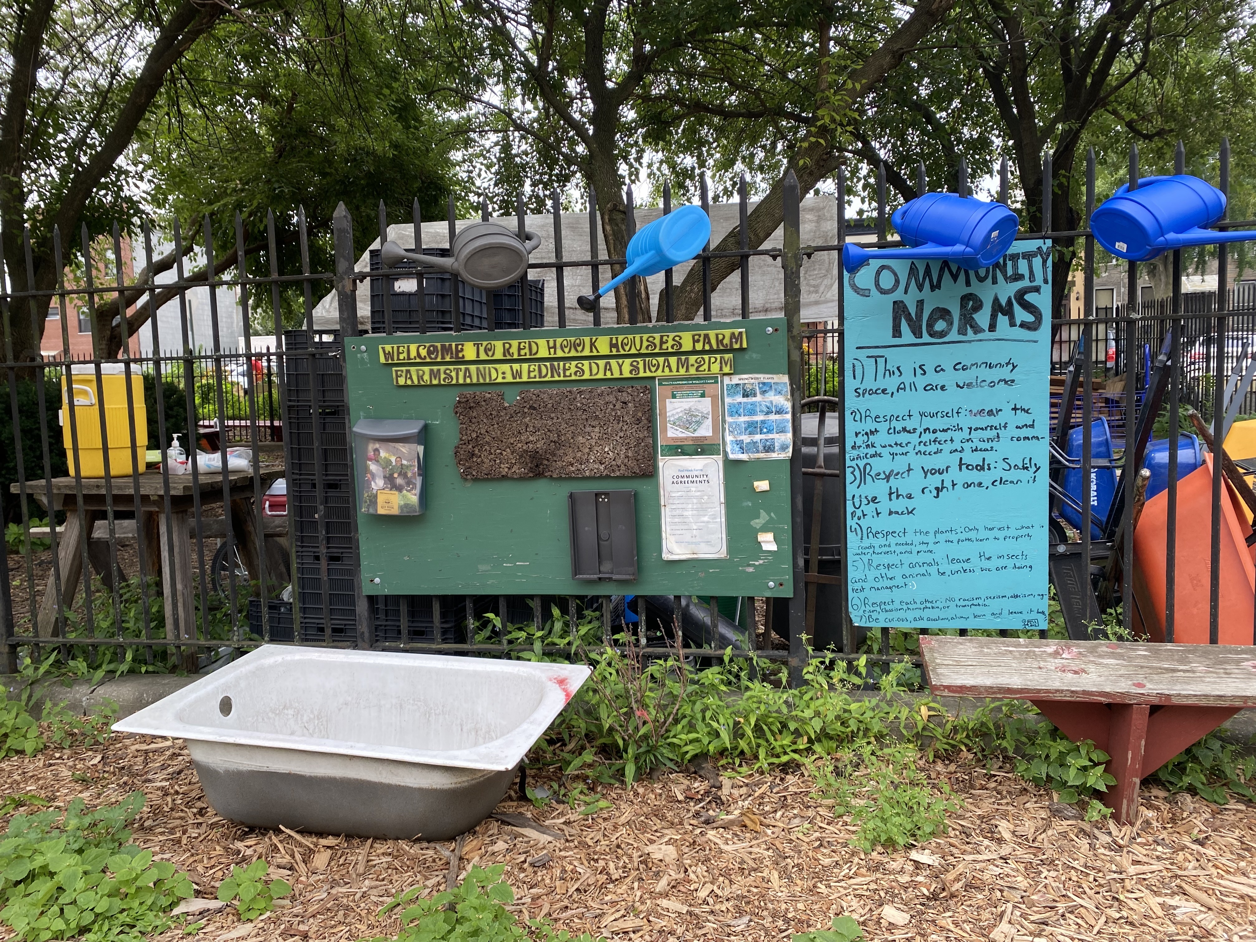 Here&rsquo;s how New Yorkers can join their community gardens
