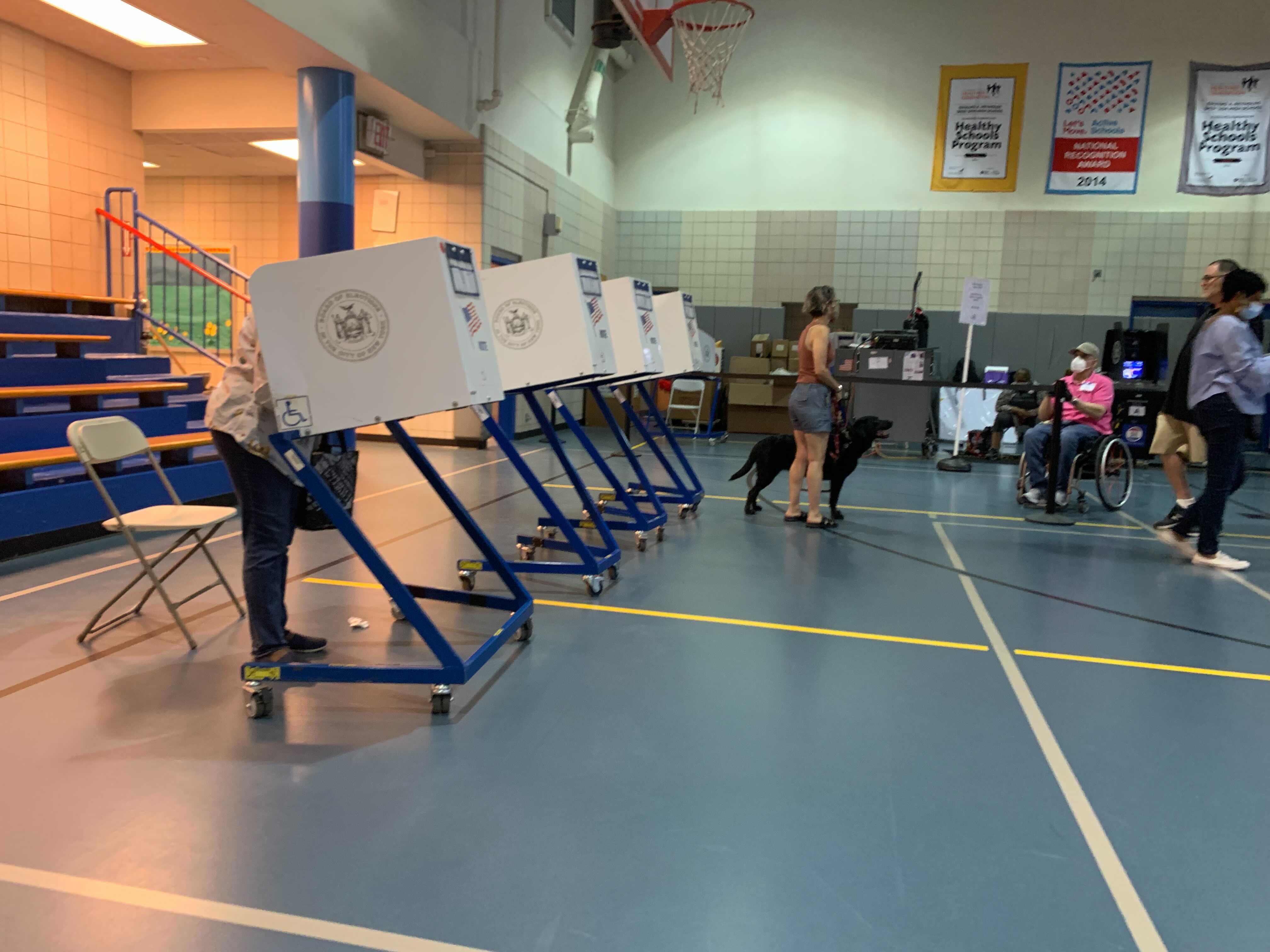 There Are More Locations For Early Voting In NYC, Including Dozens Of Schools